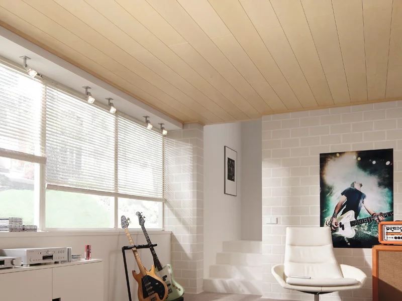 Meister_Madera_Ceiling_Roomset_2.jpg