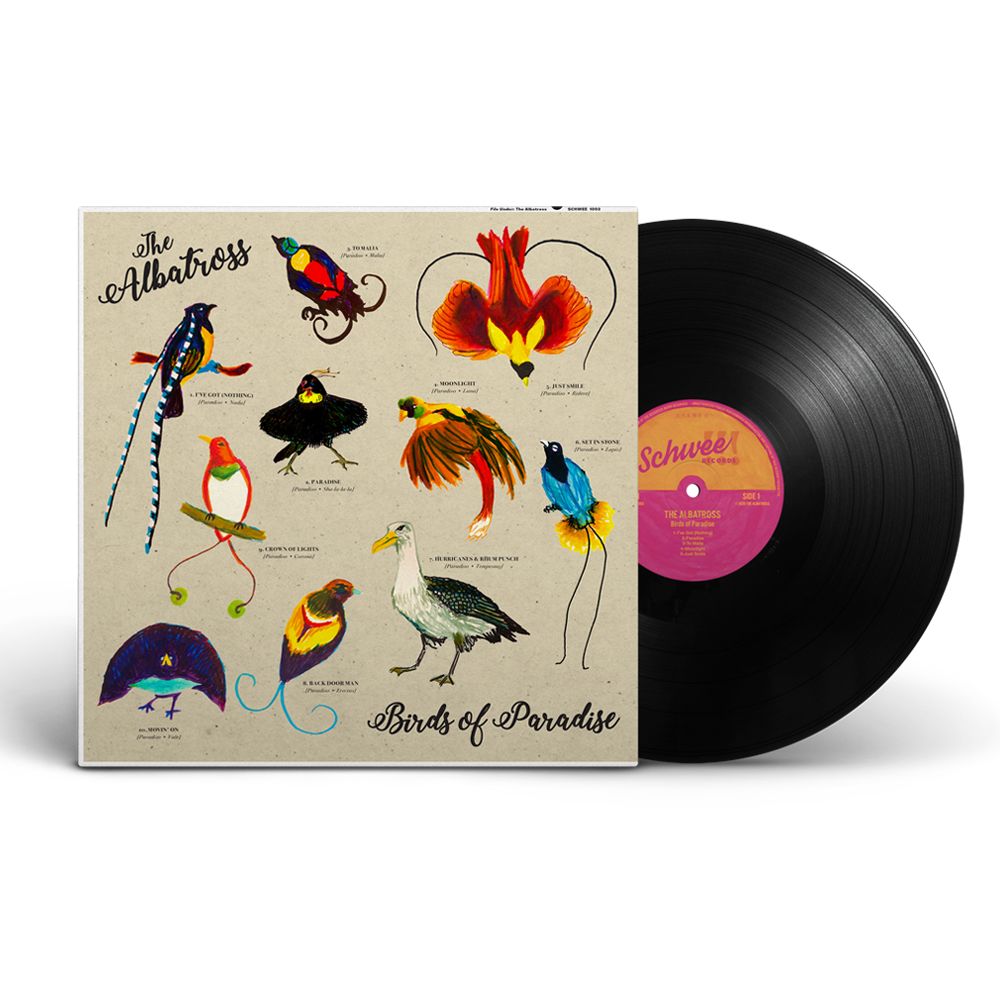 birds of paradise vinyl mockup small.png