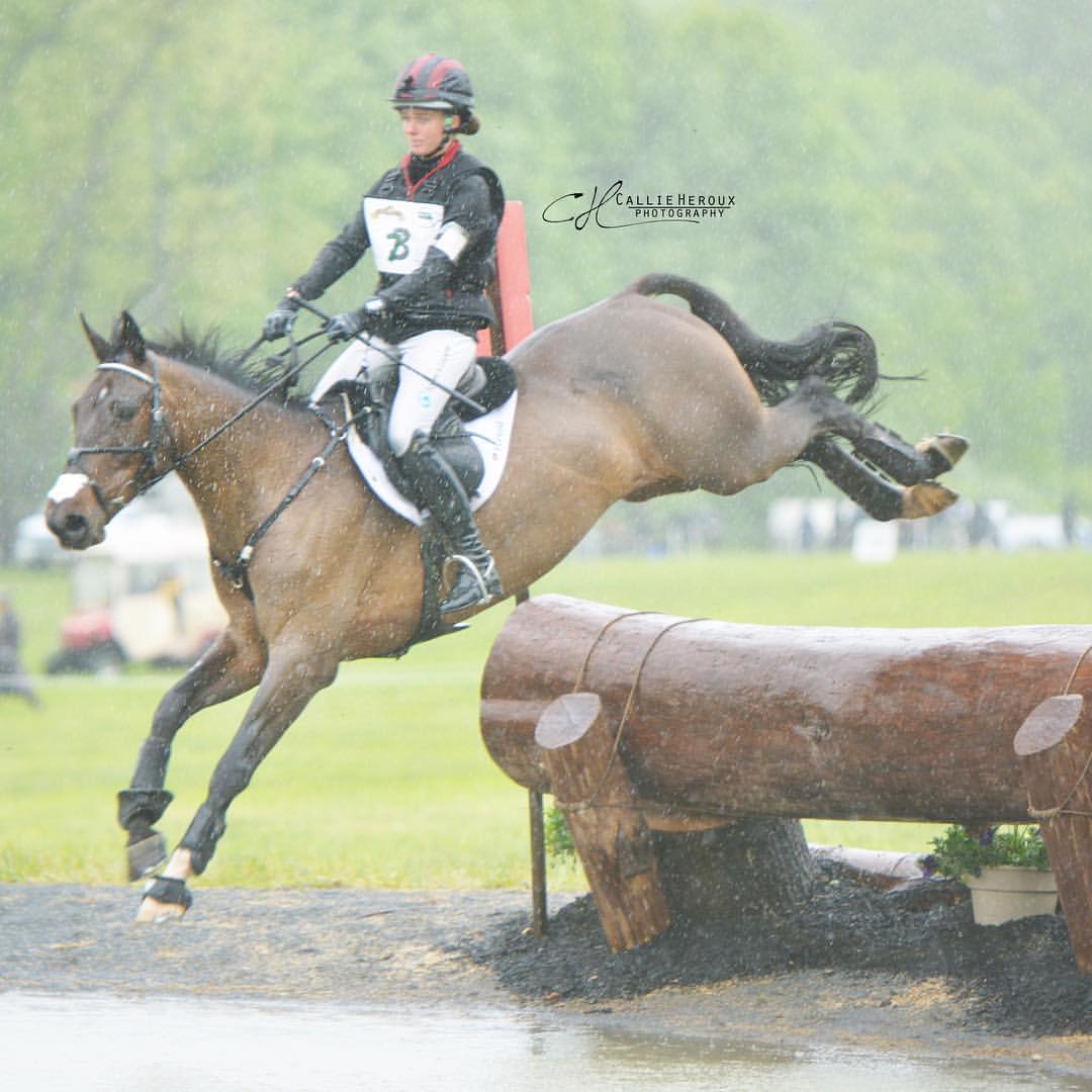 Cristiano Z at Jersey Fresh International CCI2* / Callie Heroux Photography