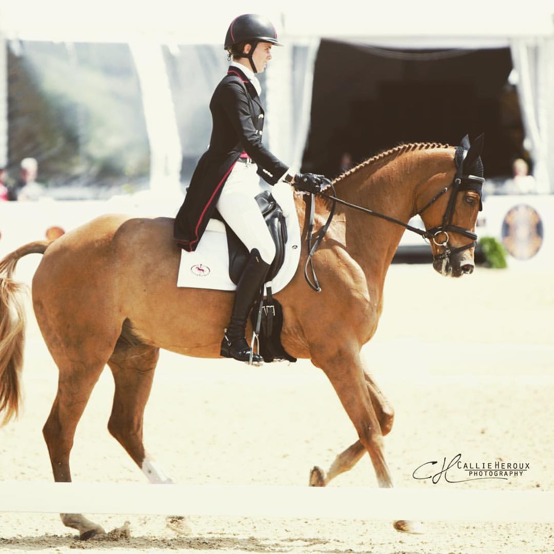Danger Mouse at Jersey Fresh International CCI3* / Callie Heroux Photography