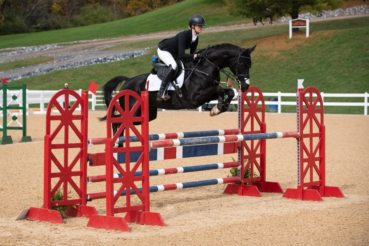 Current Contenders for The Holekamp/Turner YEH Lion d’Angers Grant