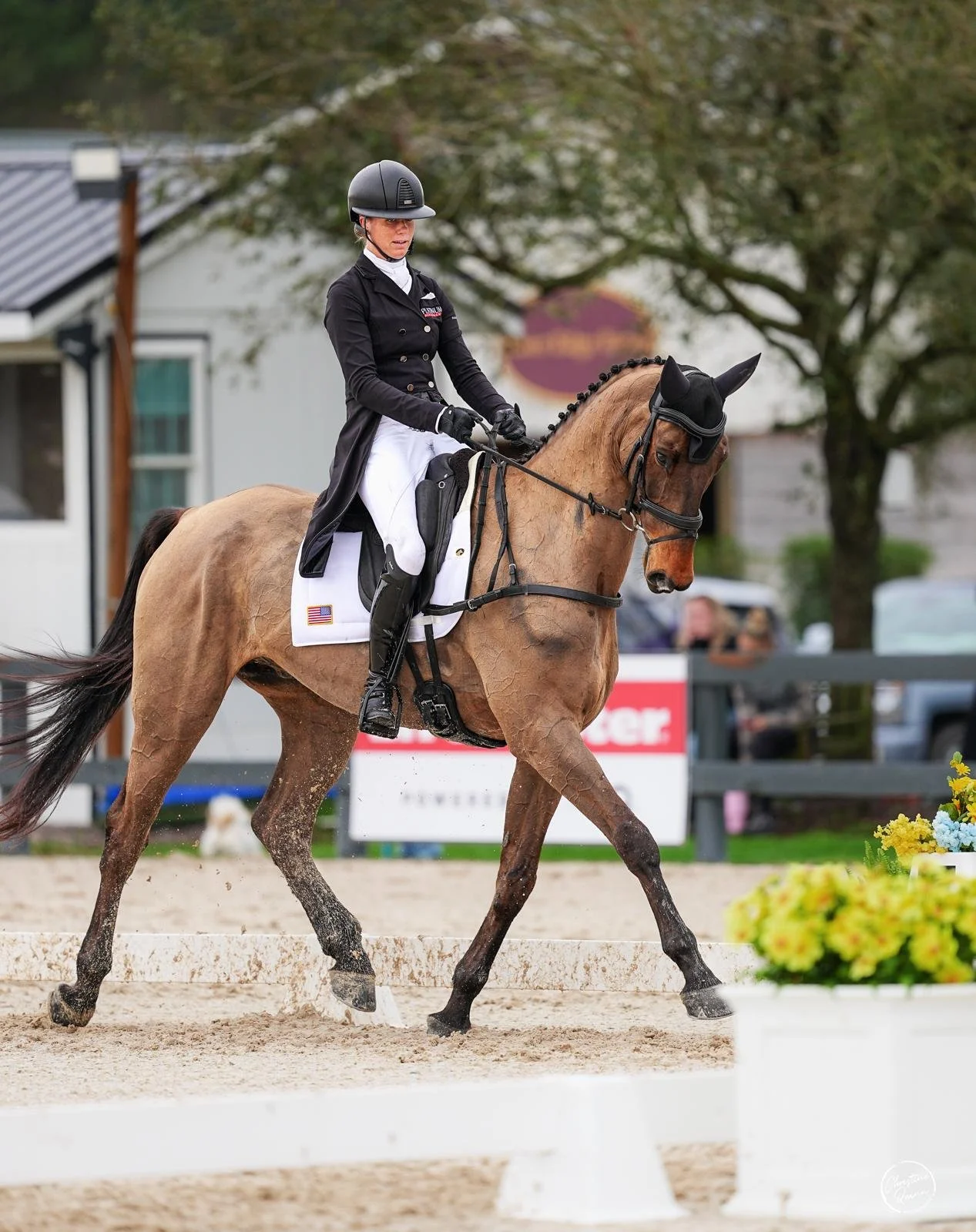 King's Especiale 2026 Grand Prix Eventing Showcase Advanced PC Christine Quinn 1.jpeg