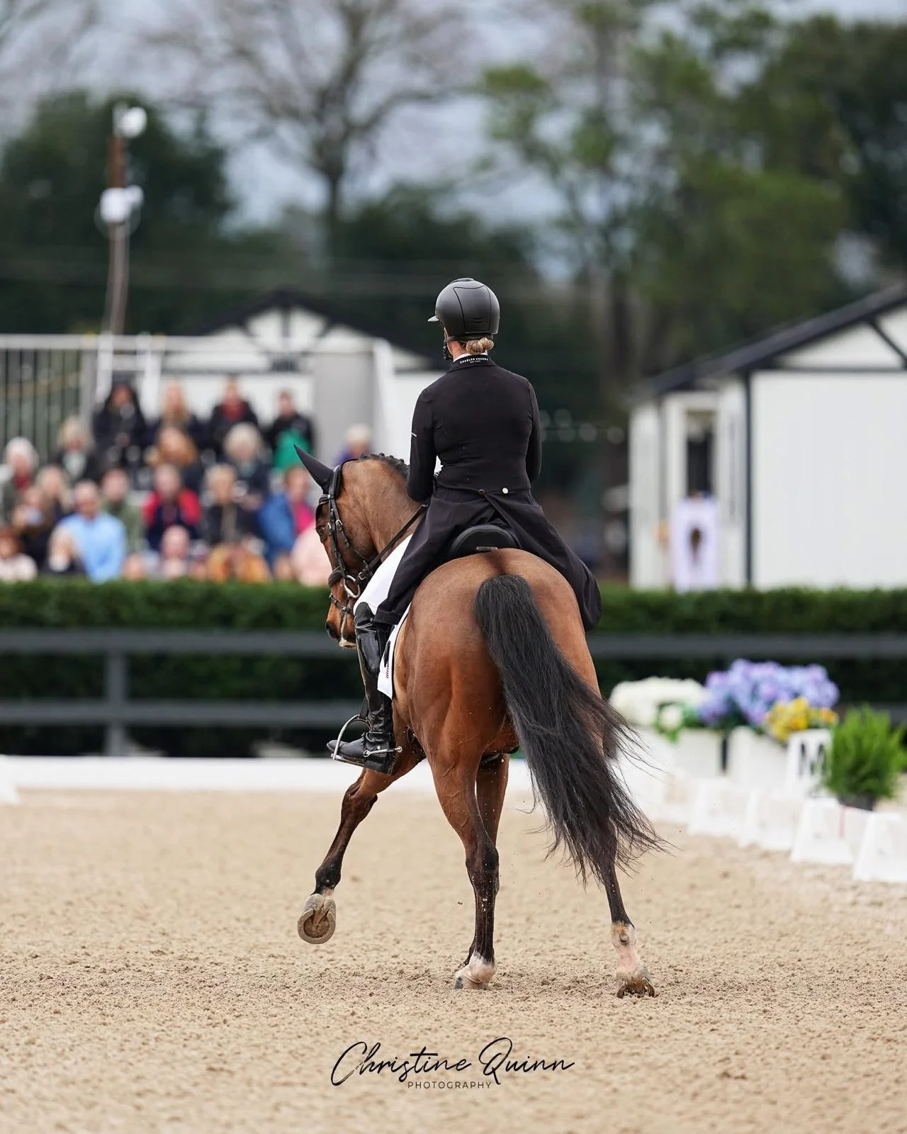 HSH Connor 2026 Grand Prix Eventing Showcase Advanced PC Christine Quinn 2.jpeg