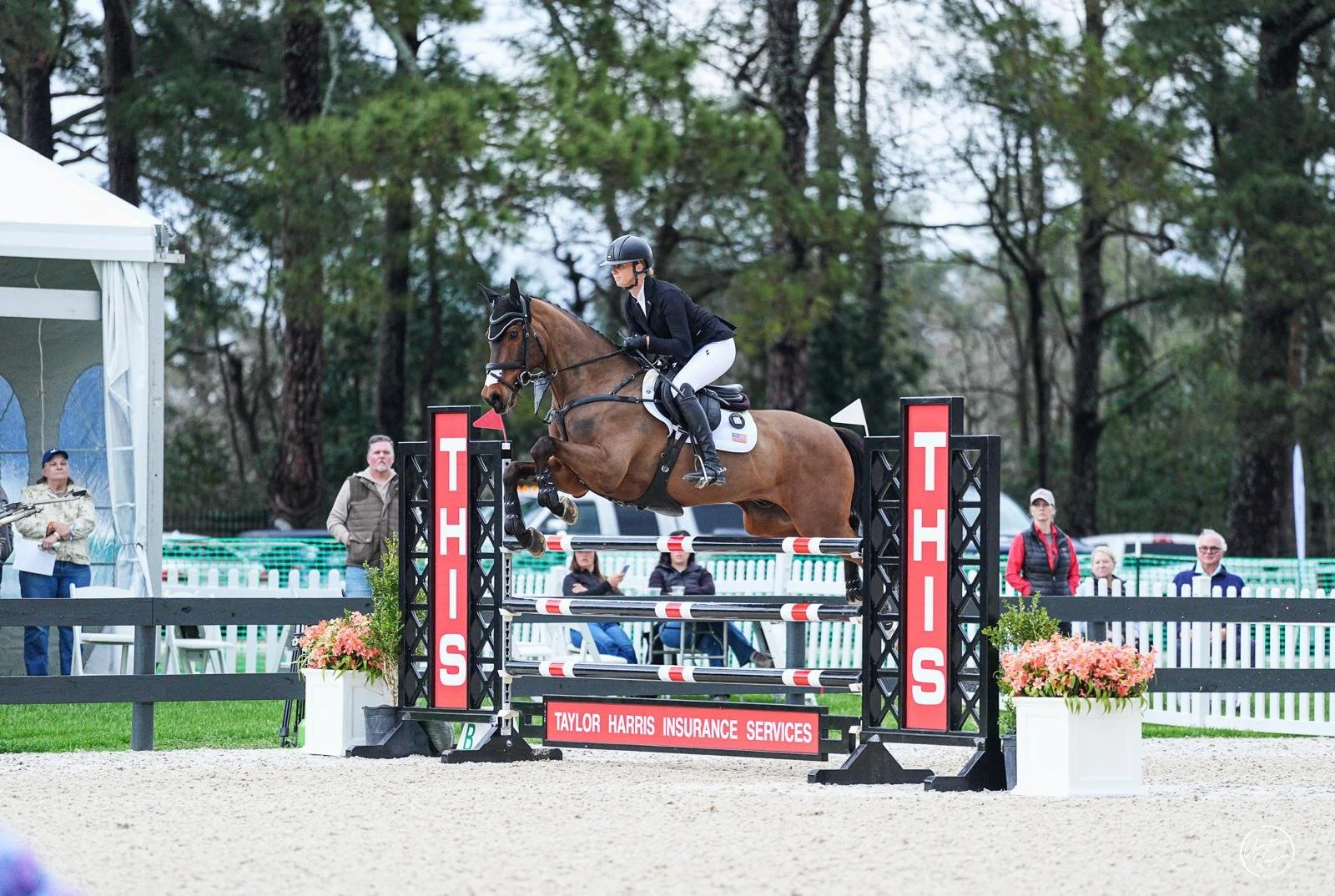 HSH Connor 2026 Grand Prix Eventing Showcase Advanced PC Christine Quinn 5.jpeg