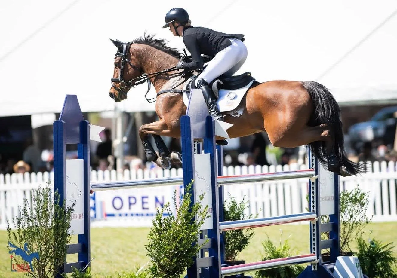 She's The One 2026 Carolina International CCI4S PC USEA 1.jpeg