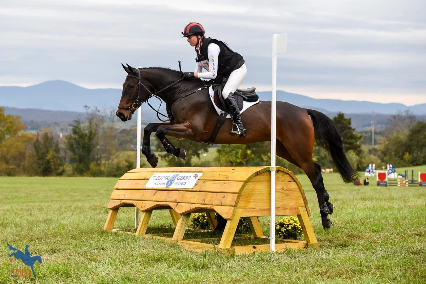 WhatsApp Image 2021-10-25 at 3.01.20 PM.jpeg