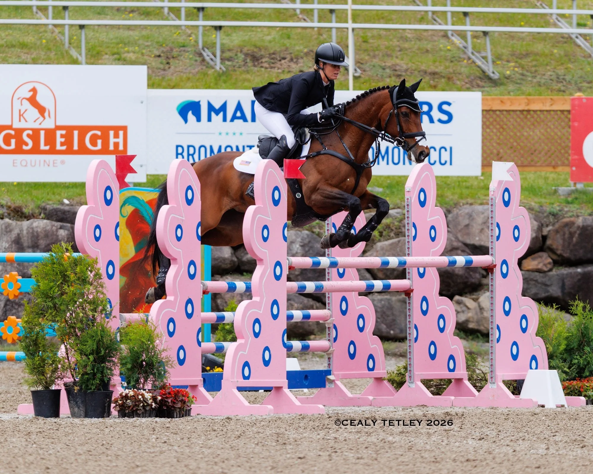 She's The One 2026 Bromont International CCI4L Show Jumping PC Cealy Tetley.jpeg
