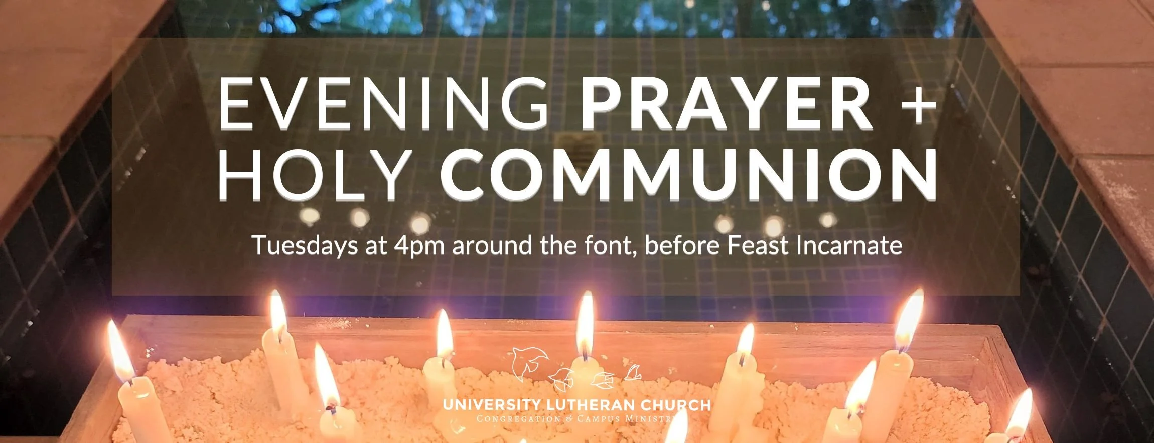 Salt and Light Evening Prayer (800 × 307 px).jpg