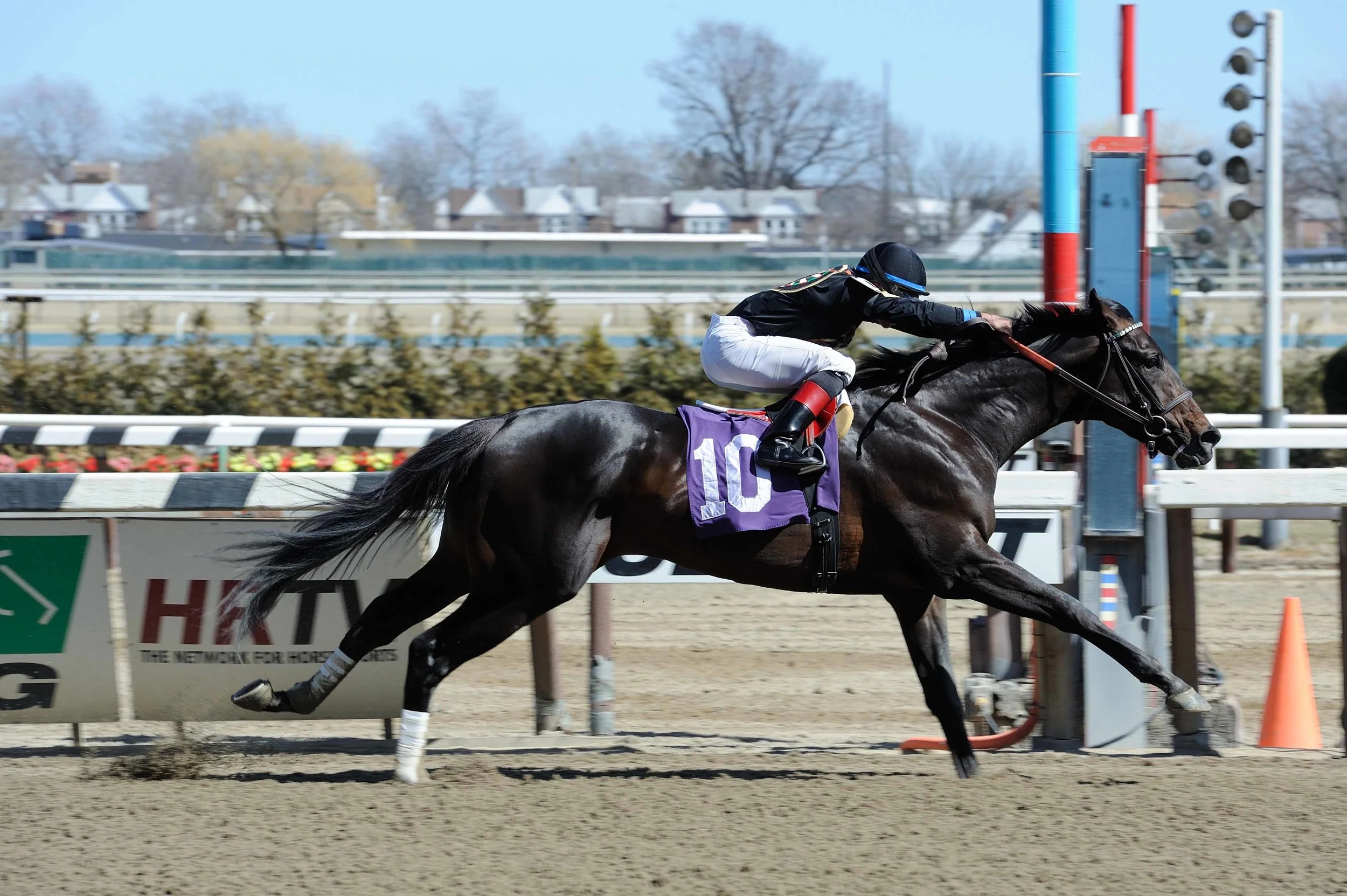 Rectify Win - 4/4/15