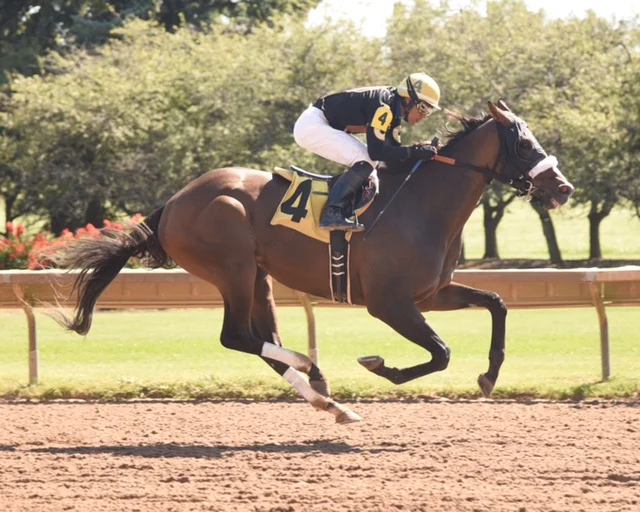 Ride Of Your Life Win - 9/15/15