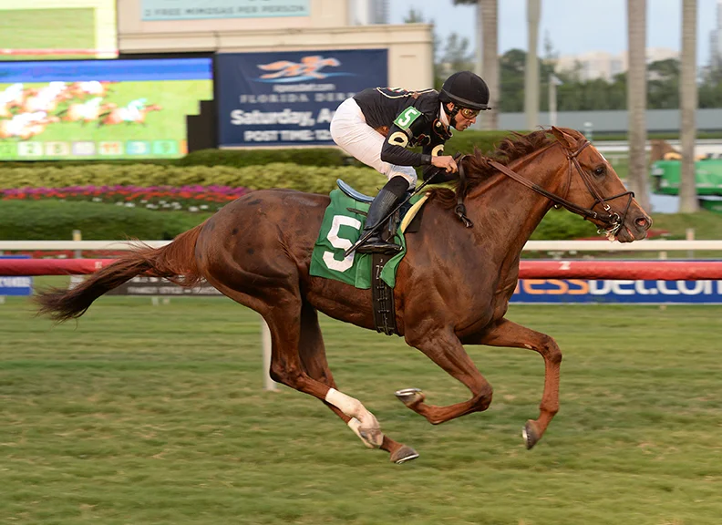 Cliffs of Dover Win - 12/23/15