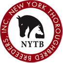 Value Shopping for Broodmares