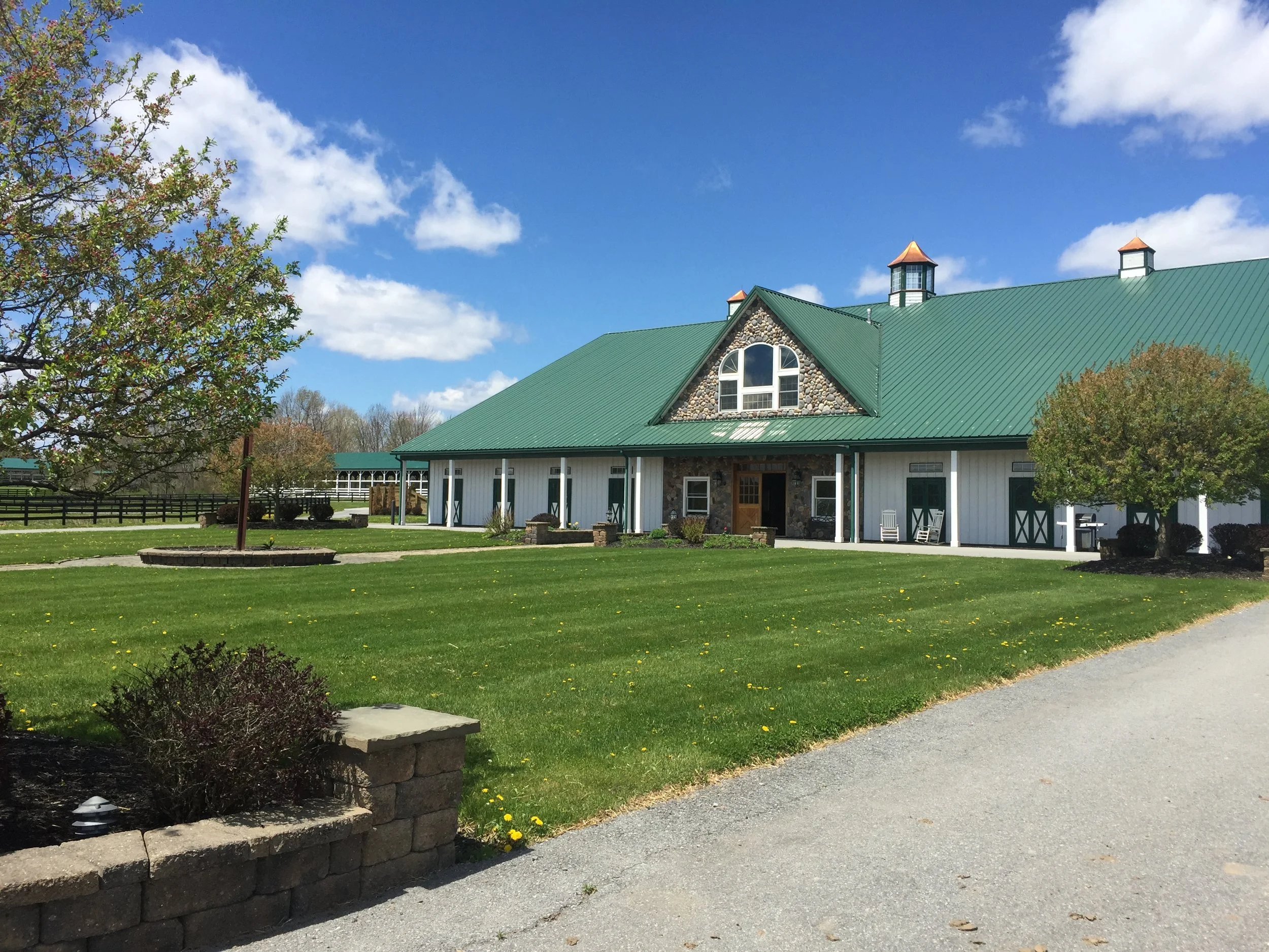 Beers, BBQ & Beautiful Horses
