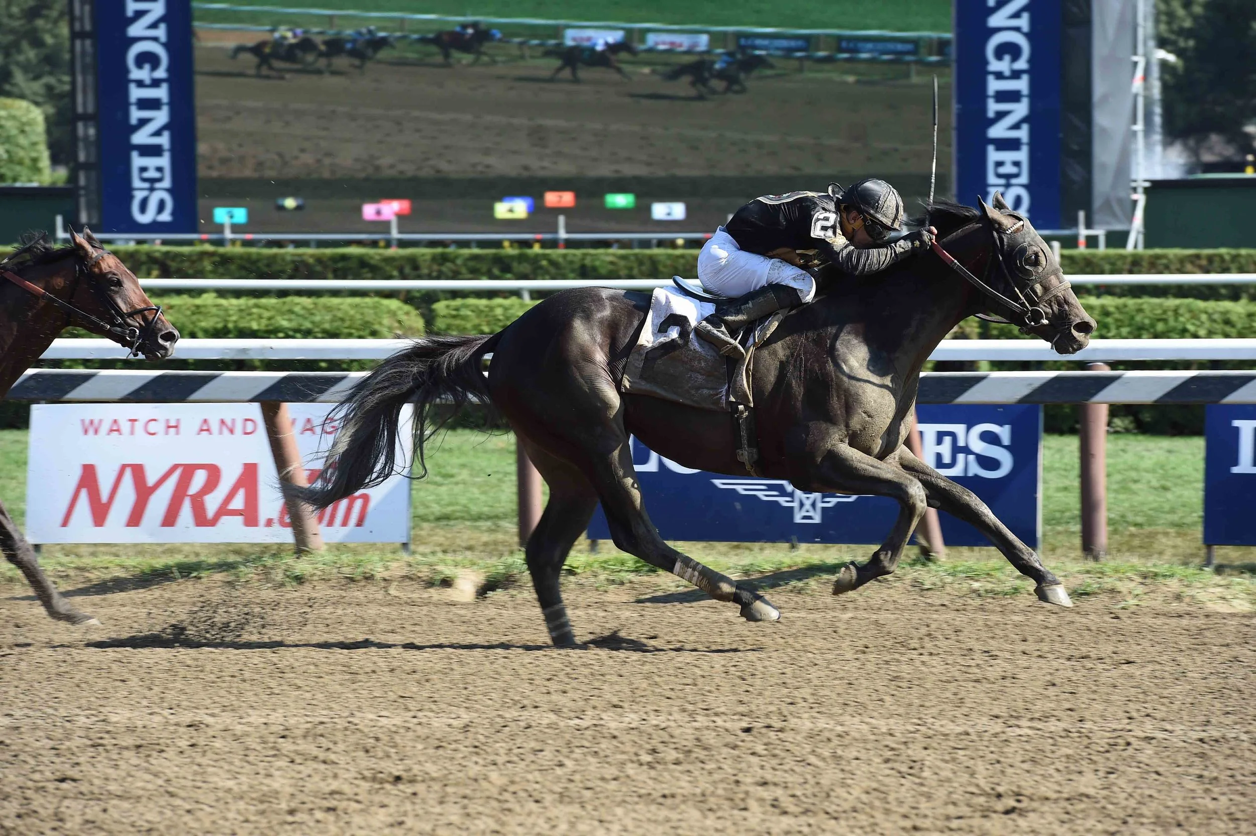 rectify - win at saratoga (September 2015)