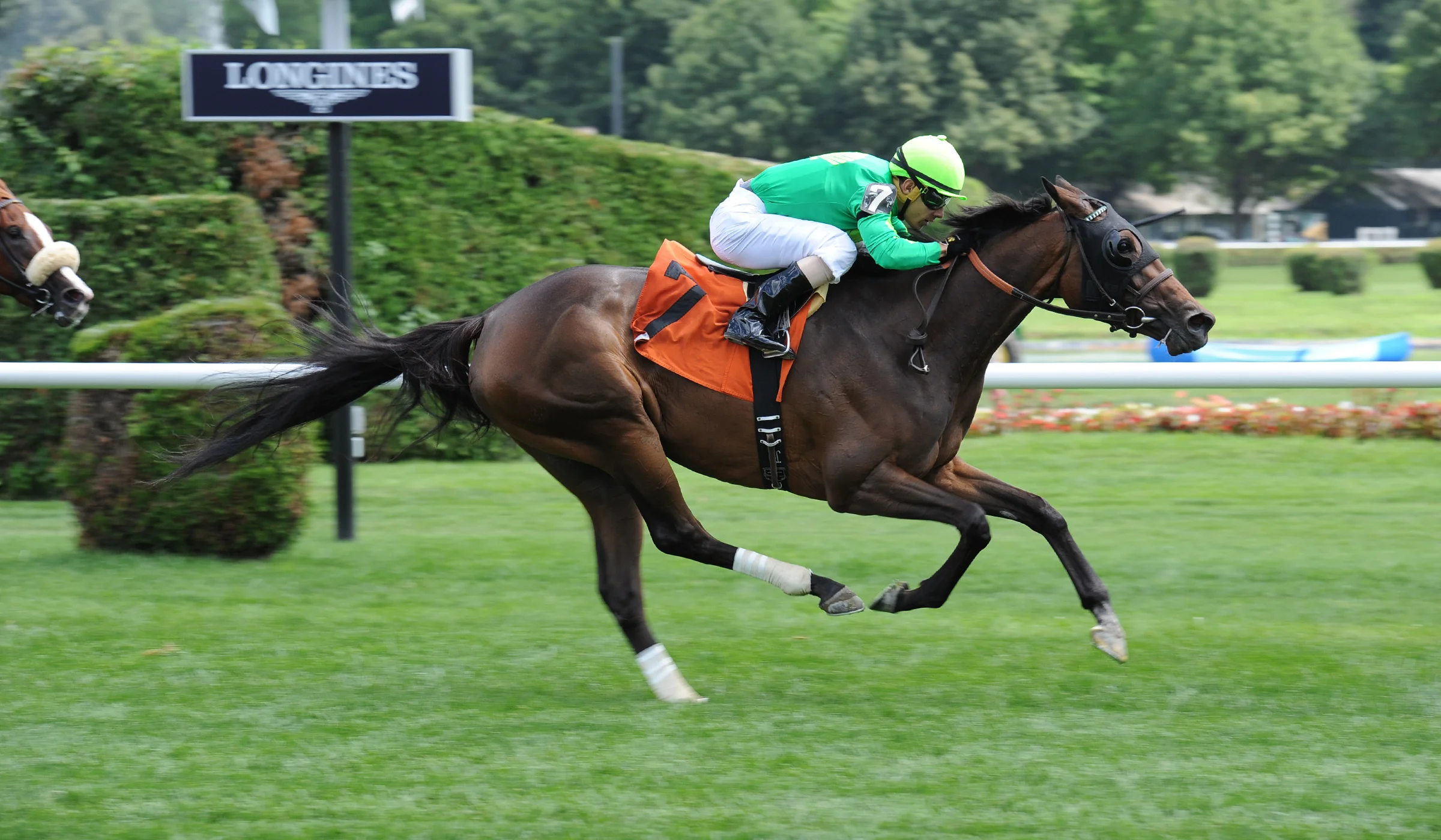 Khaleesi kat - win at saratoga race track on opening day (july 2015)