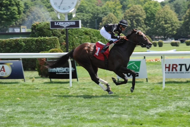 Sanctify - win at saratoga (July 2014)