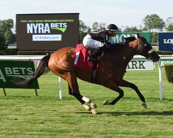 I Love You Still at Belmont Park