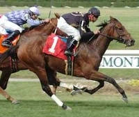 Cute Cognac Win Shot.JPG