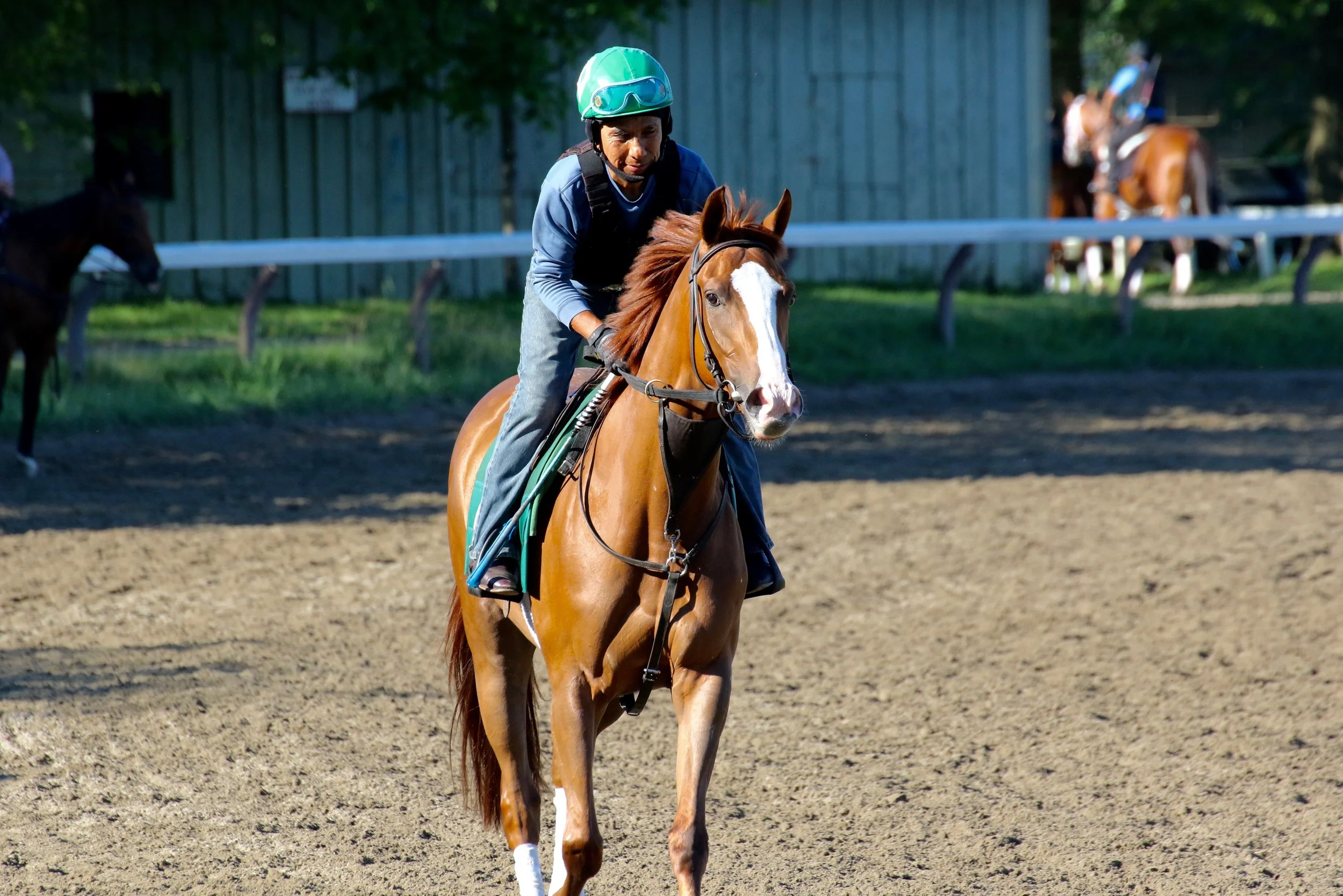 DH-GALLOP-7-1-19.jpg