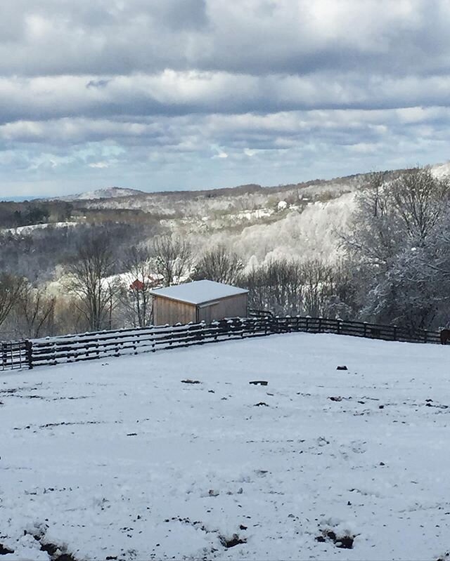 The May 9th winter wonderland at Blue Stone Farm🔹