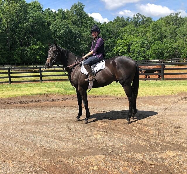 Big Bobby going out to the track at Ingleside Training Center. This NYB 2YO colt by Shanghai Bobby is going to be something special.