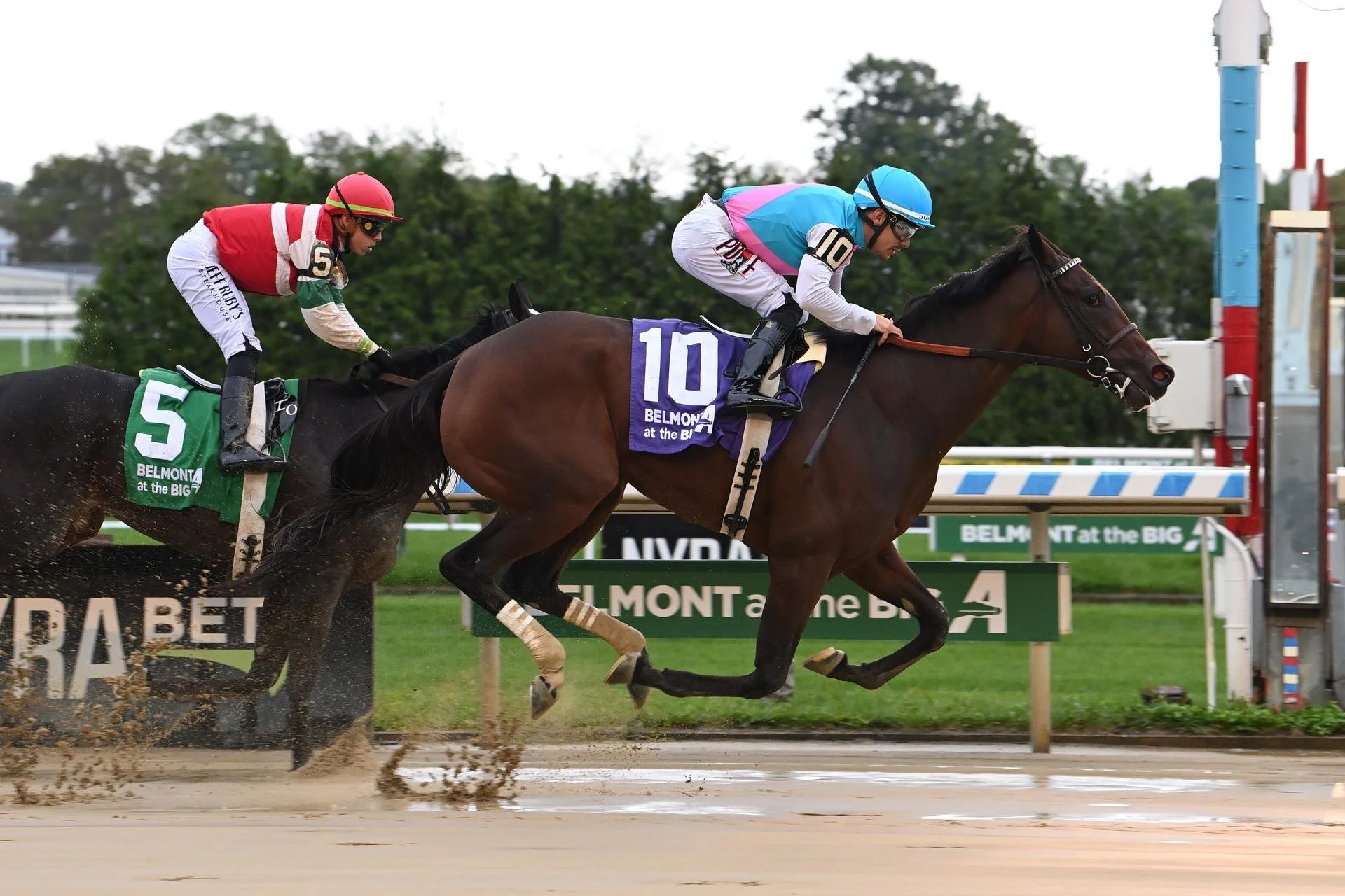 Is Your Horse A Turf Force or a Dirt Horse?