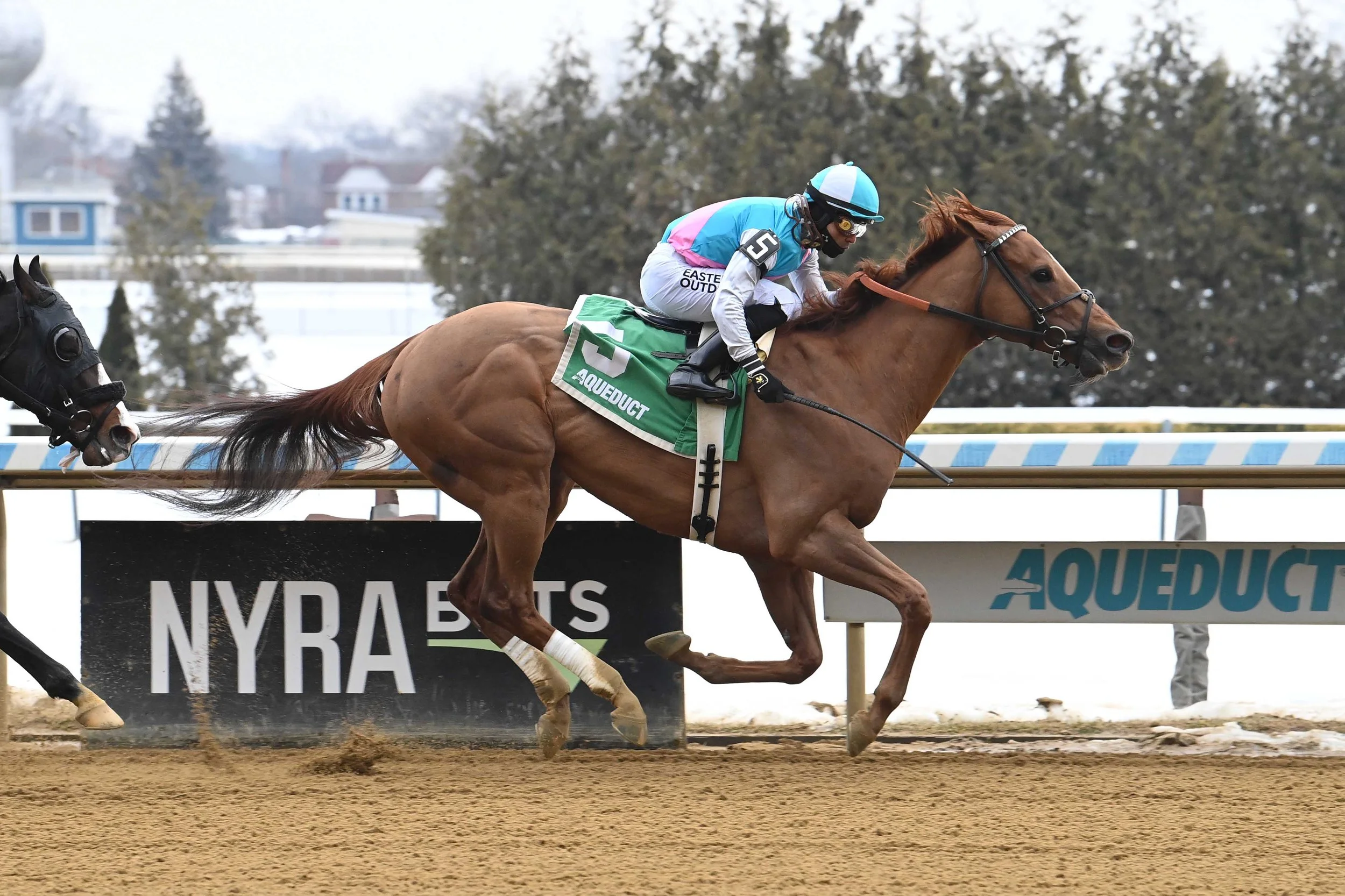 Back in Training: How Thoroughbreds Prepare for Their First Race Off a Layoff