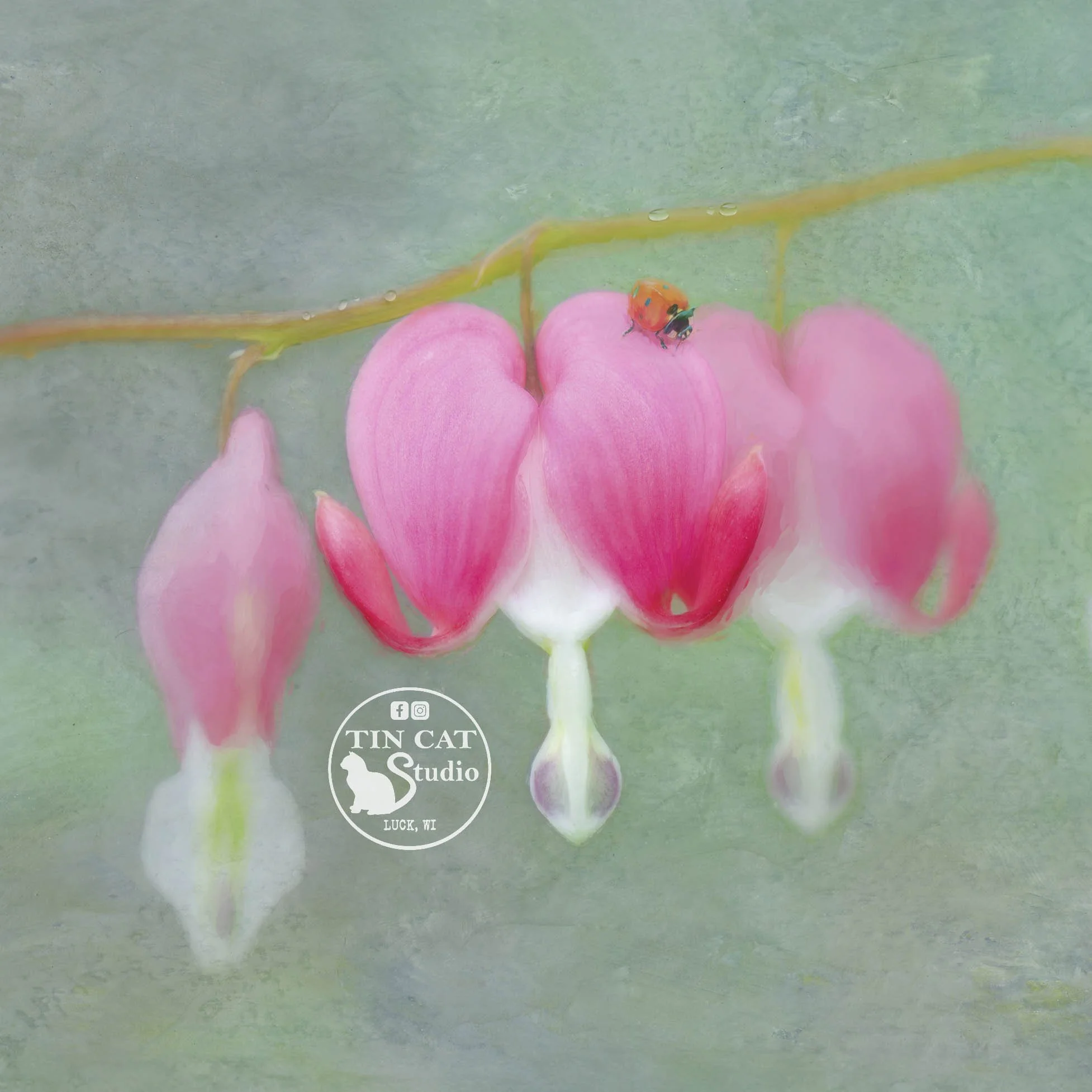 A Tiny Wonder-mini LOGO.jpg