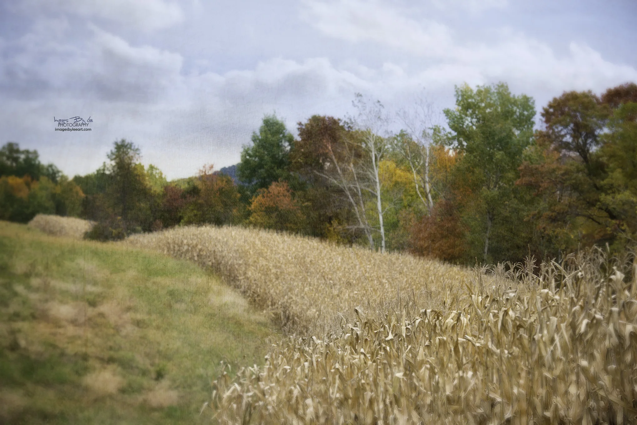 Autumn Harvest FB.jpg