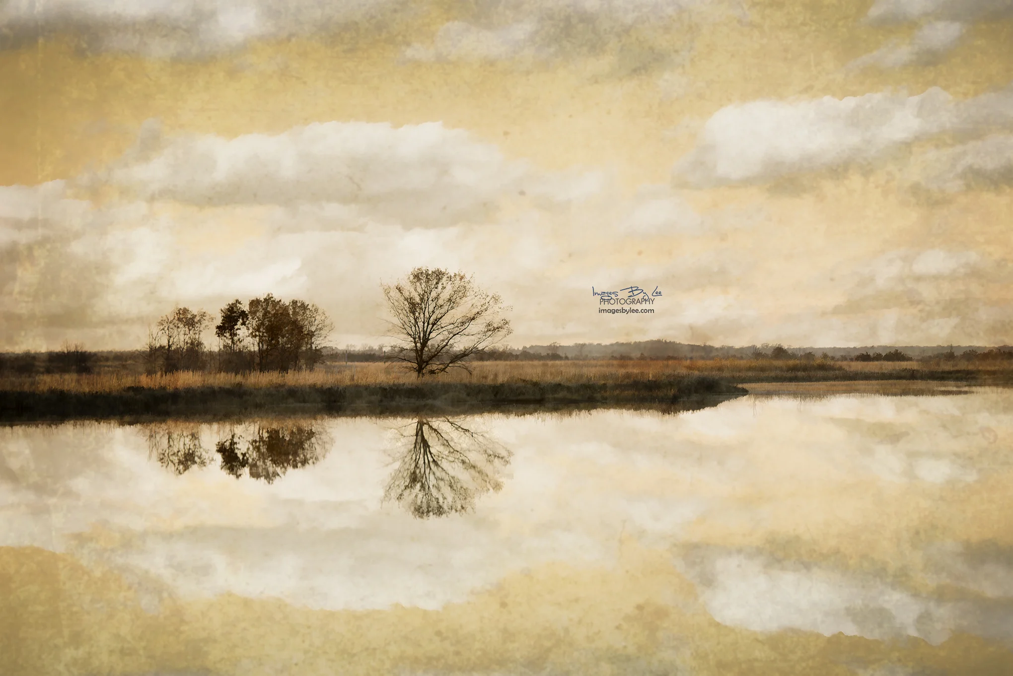 Autumn Reflections FB.jpg