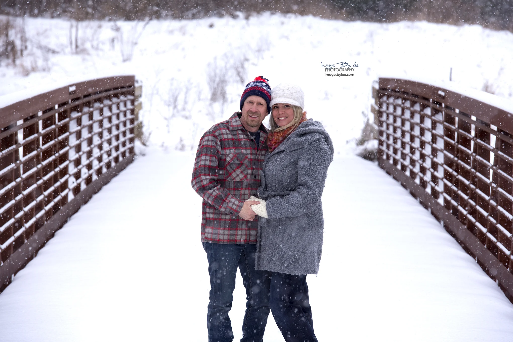 The Northern Lakes Center for the Arts