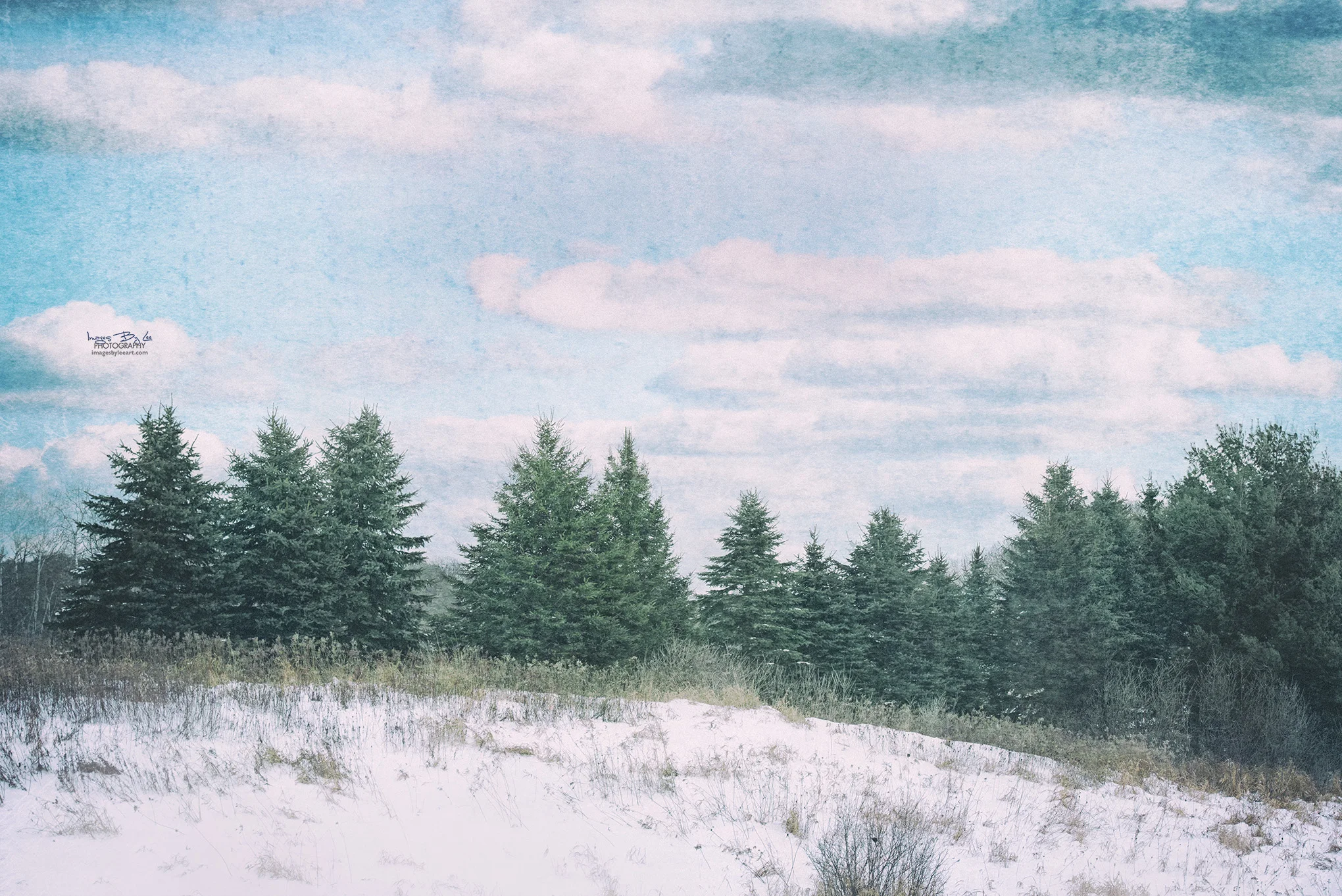 Winter Evergreens FB.jpg