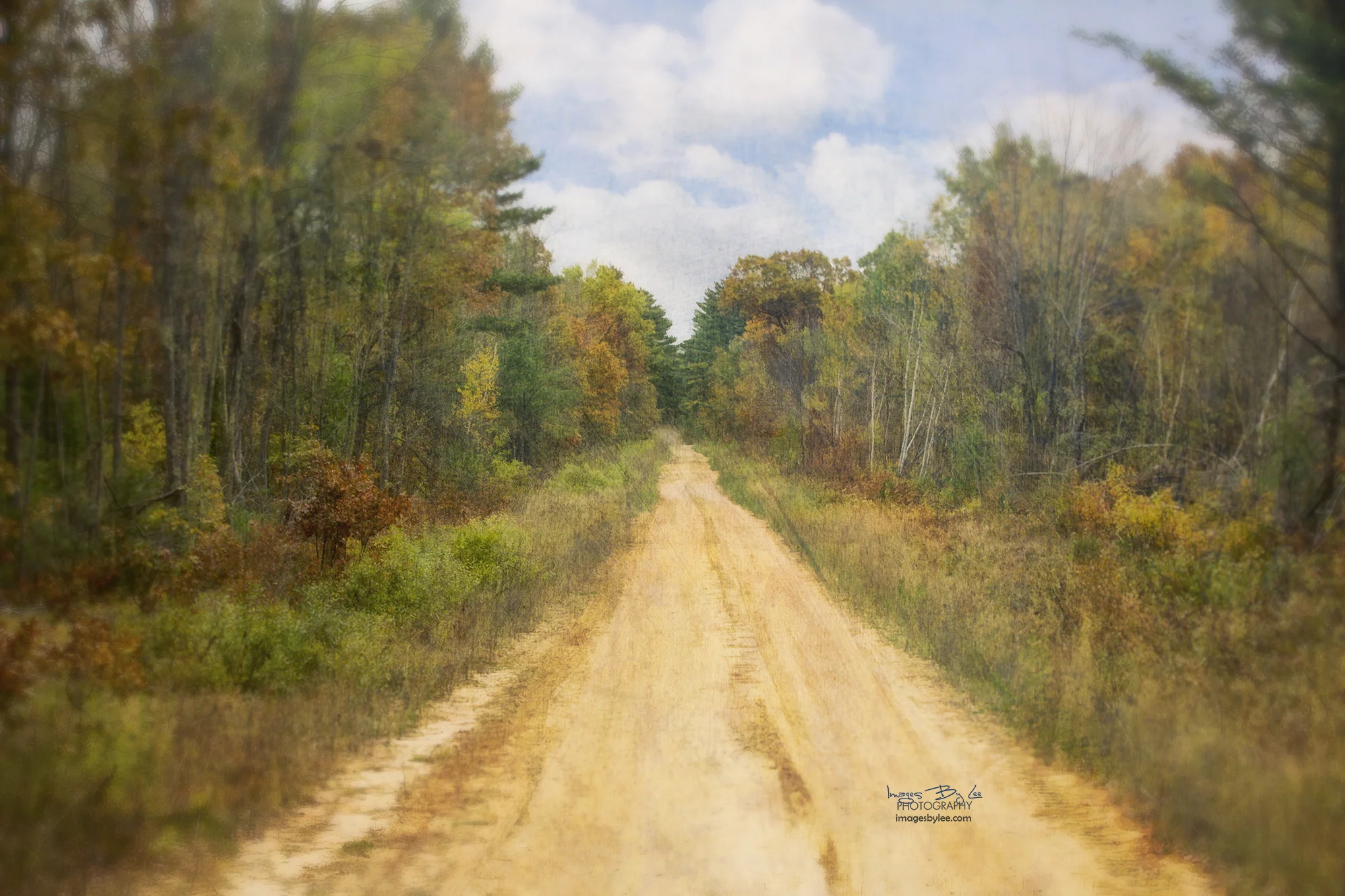 Autumn Trails FB.jpg