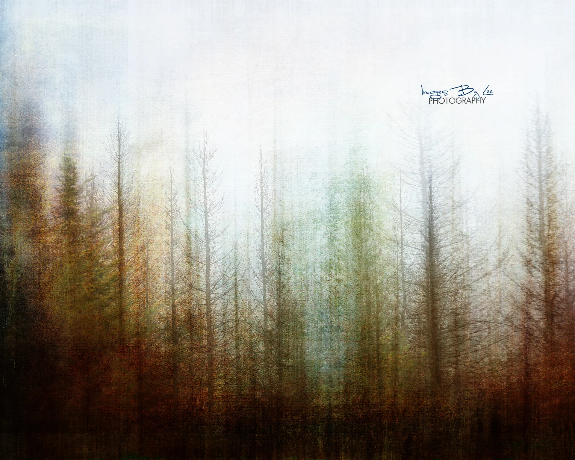 RandyLee_WhisperingPines.jpg