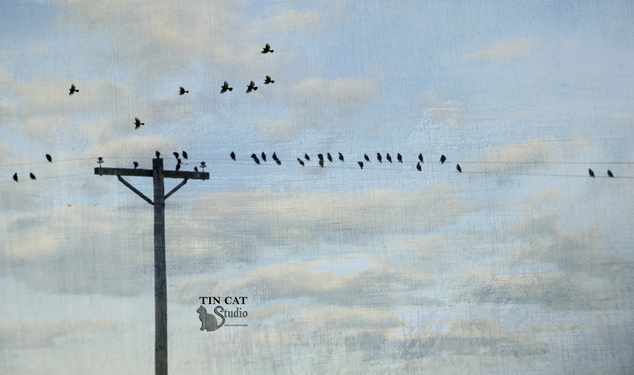 All Friends Here FB.jpg