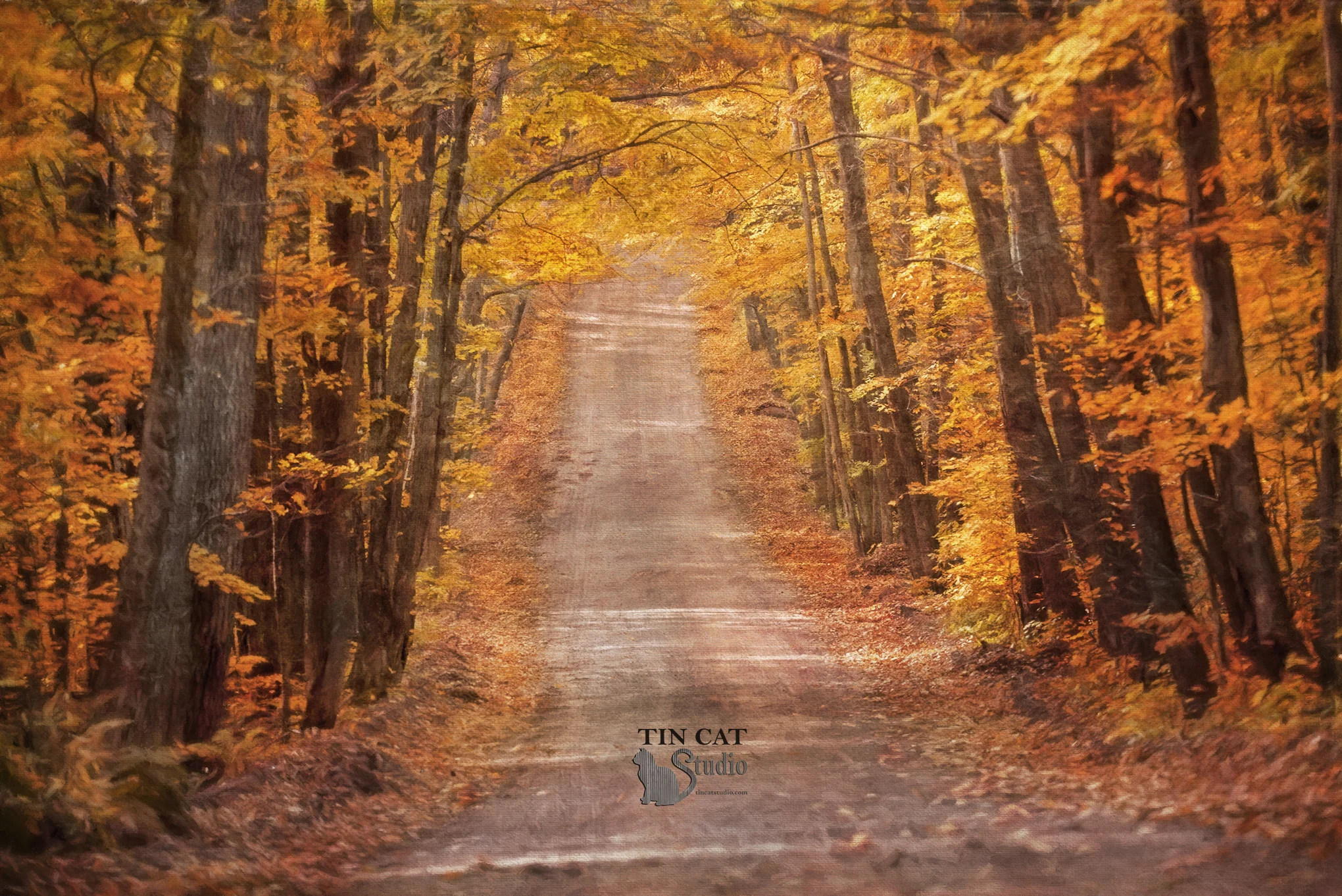 Autumn Road fb.jpg