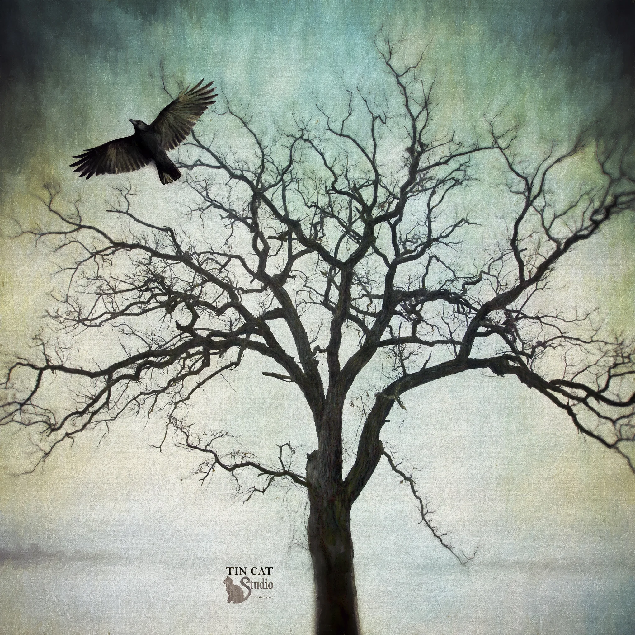 Take Flight FB.jpg