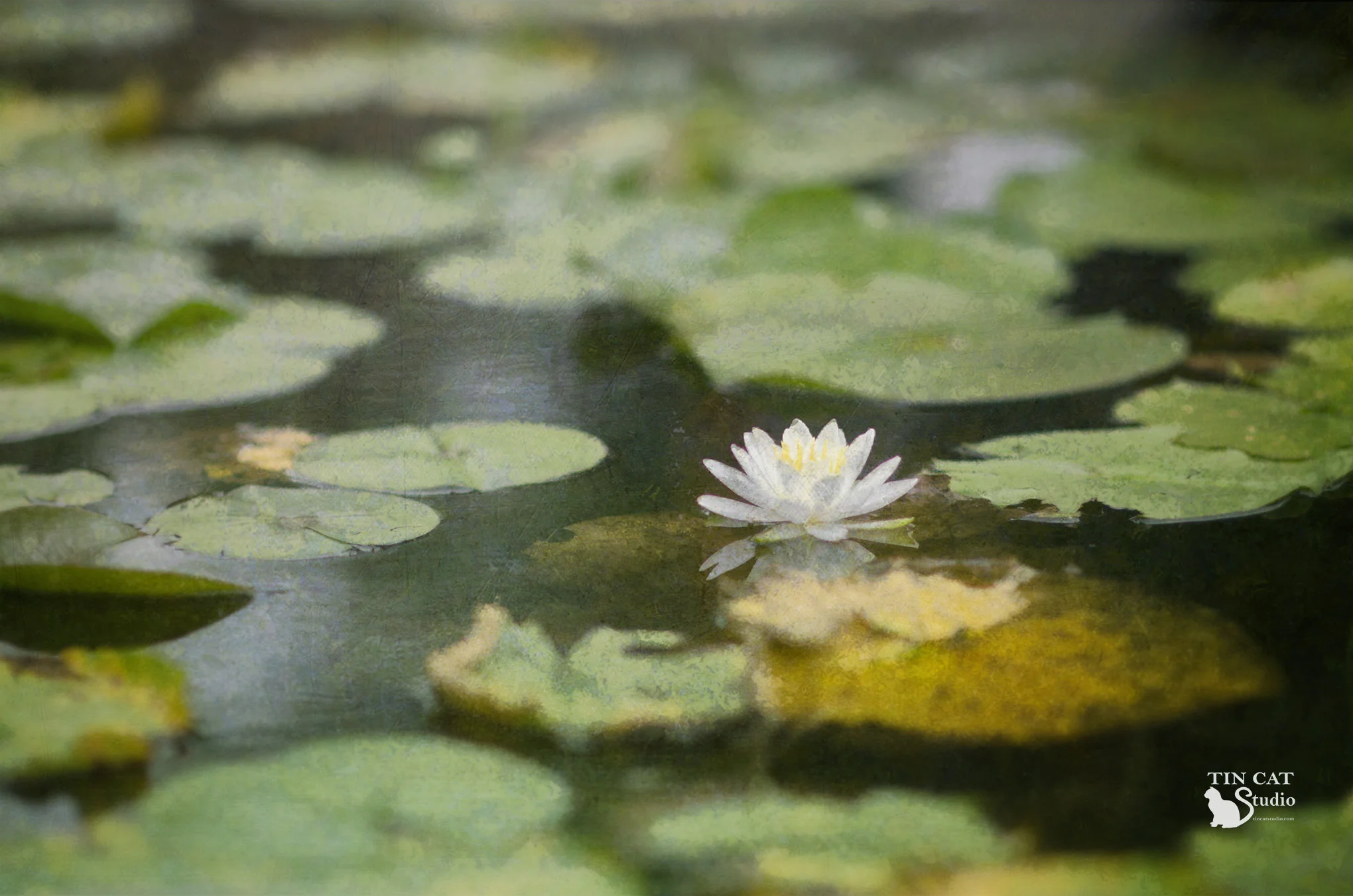 Lilypond Lisa FB Door co.jpg