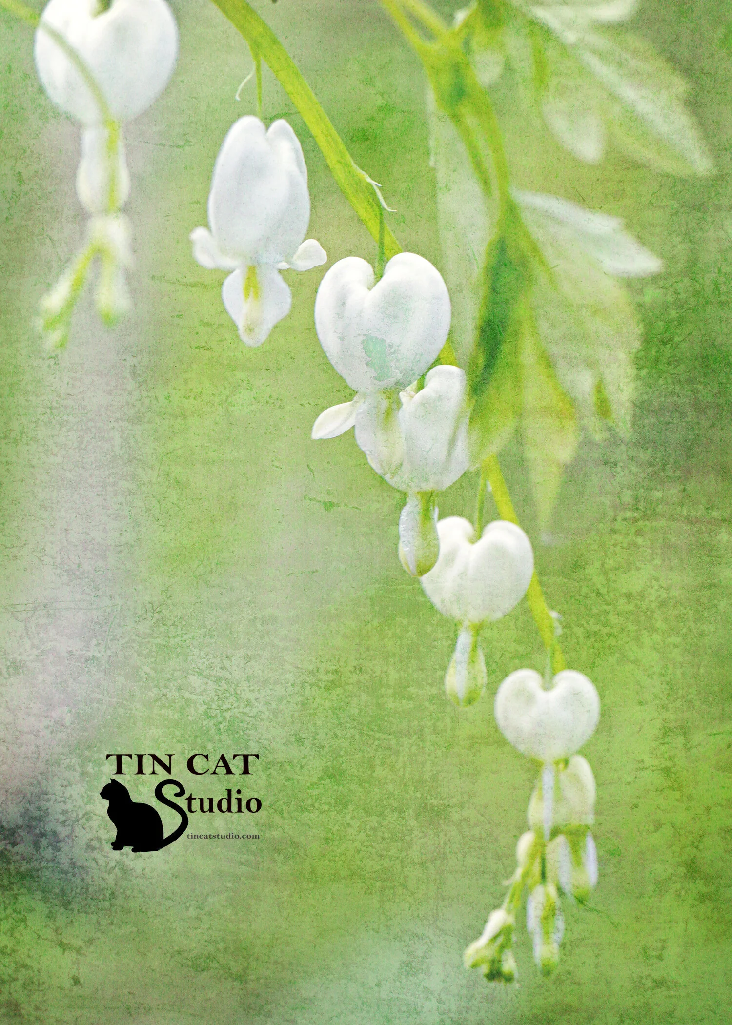 White Hearts w-texture.jpg
