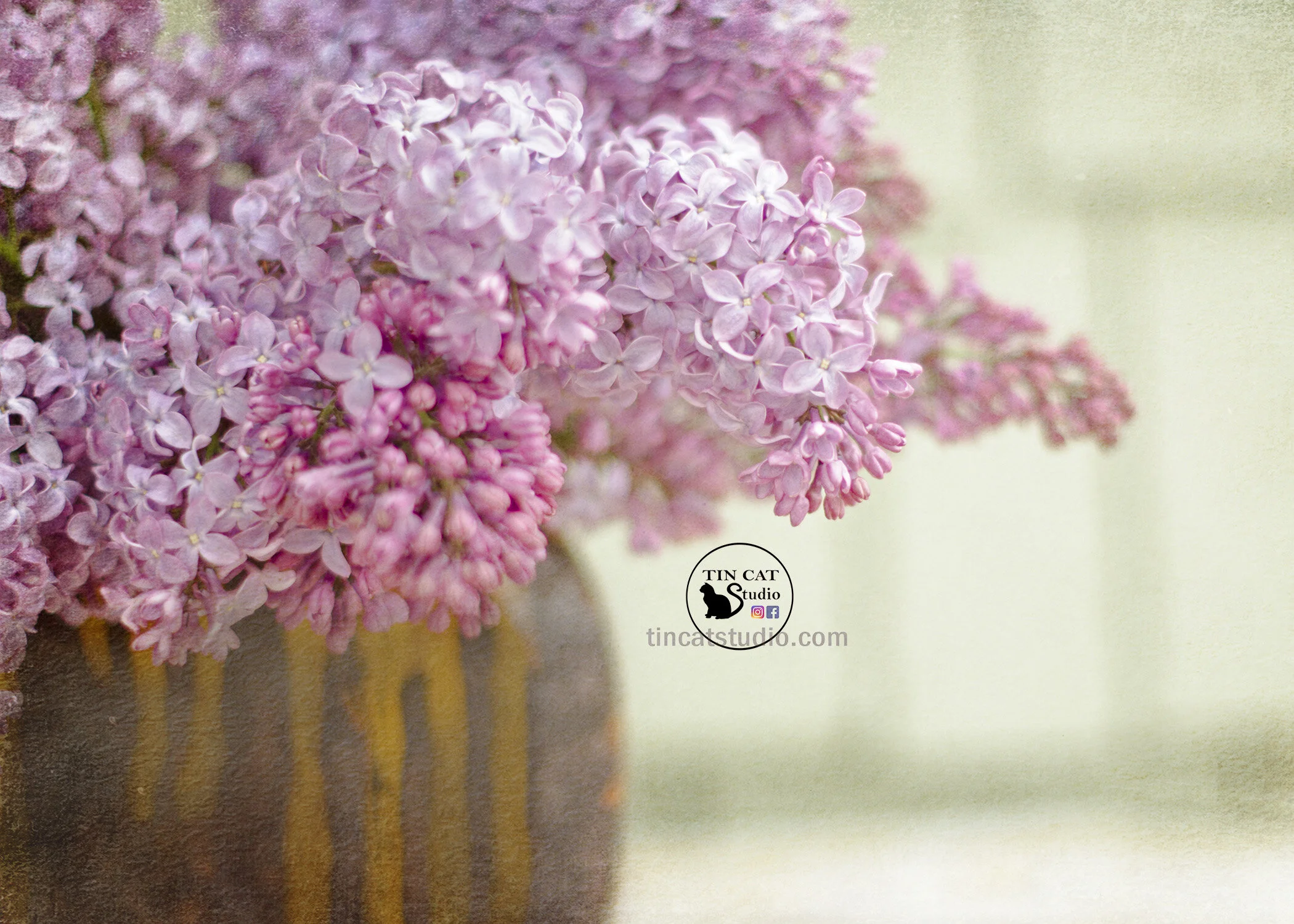 Lilac2 fb.jpg