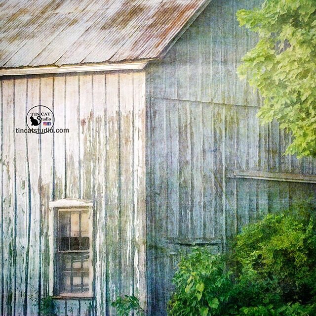 #tincatstudio #impressionistphotography #illustrious_art #everything_edited 
#country_features #ig_countryside #countryhomestyle #backroads #farmhouse #rusticfarmhouse #everything_home_front #countrydecor #rusticdecor #modernfarmhouse #patinperfectio