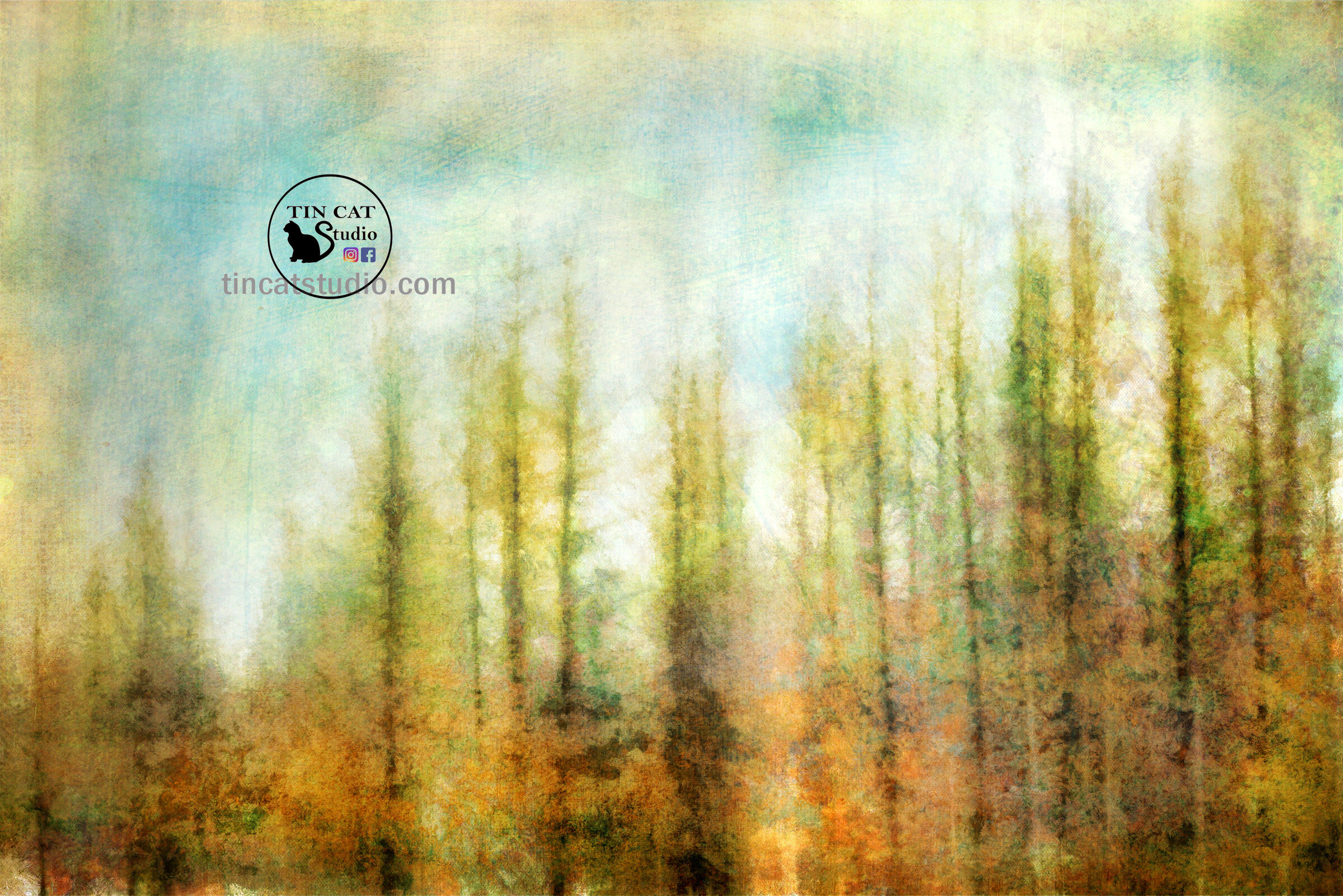 brushed pines rect.jpg