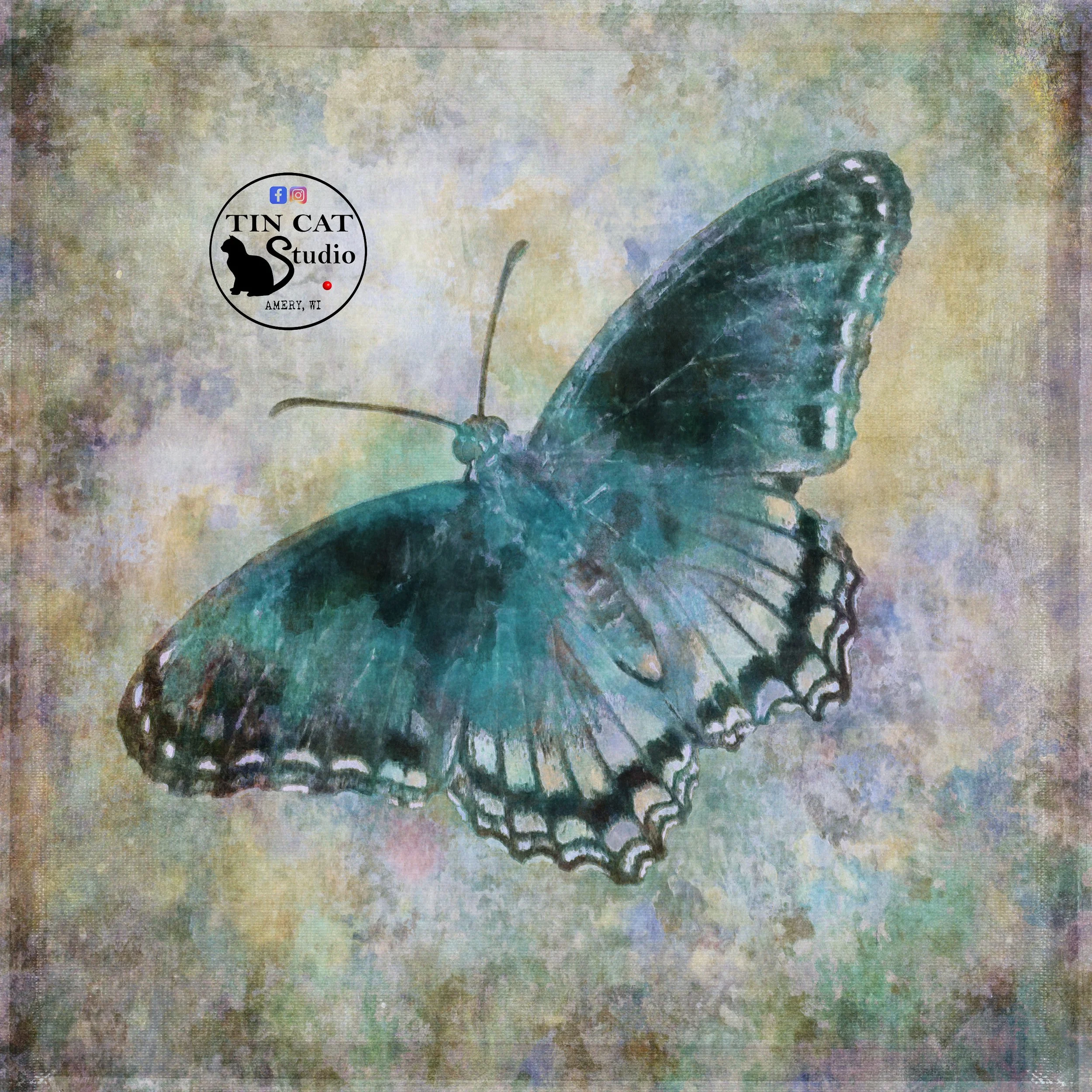 Butterfly.jpg