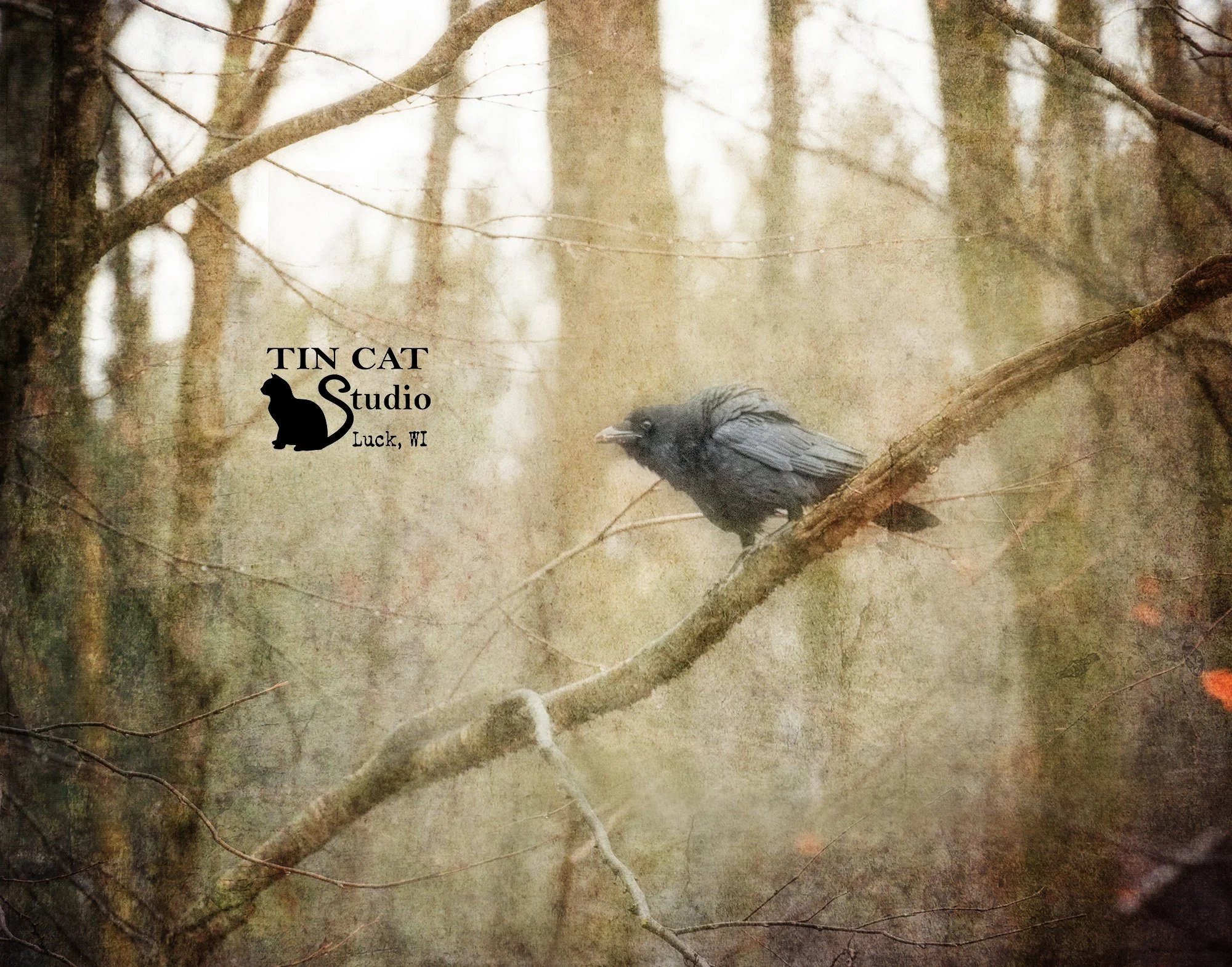 Rook New Logo Rect.jpg