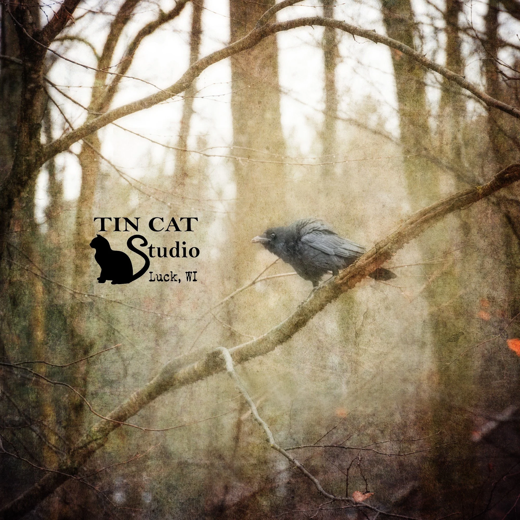 Rook New Logo Sq.jpg