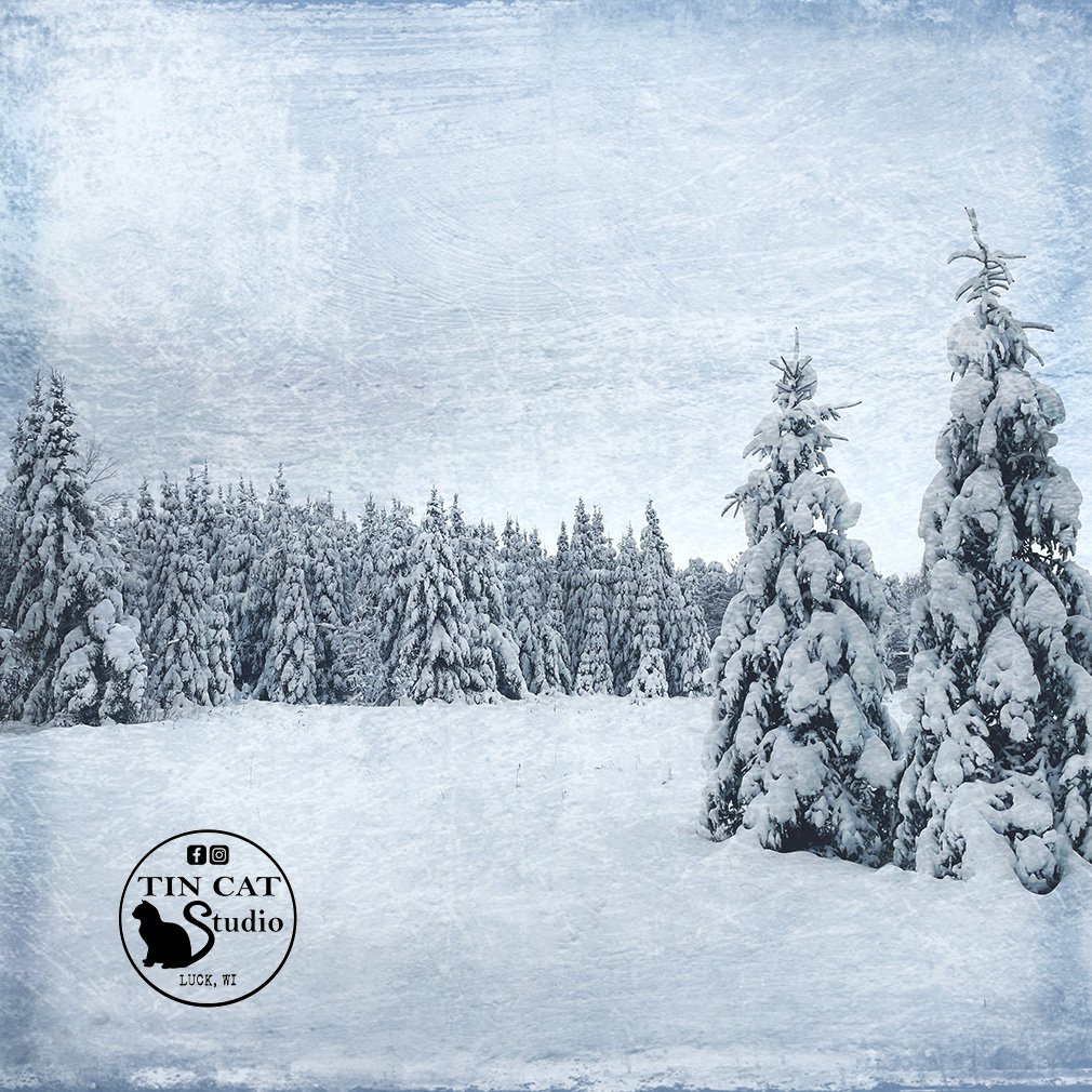 Winter Wonderland SQ.jpg
