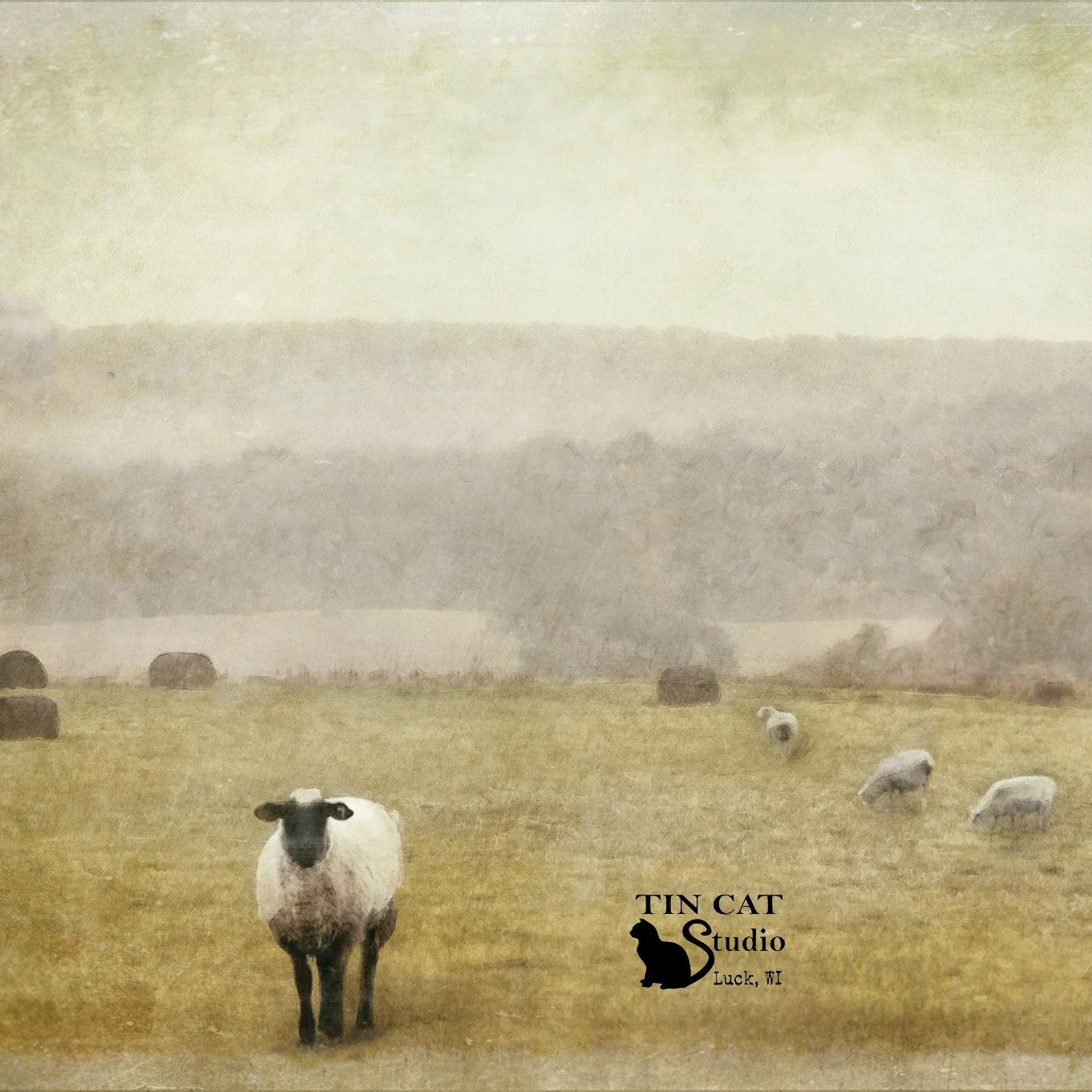 Out To Pasture SQ.jpg