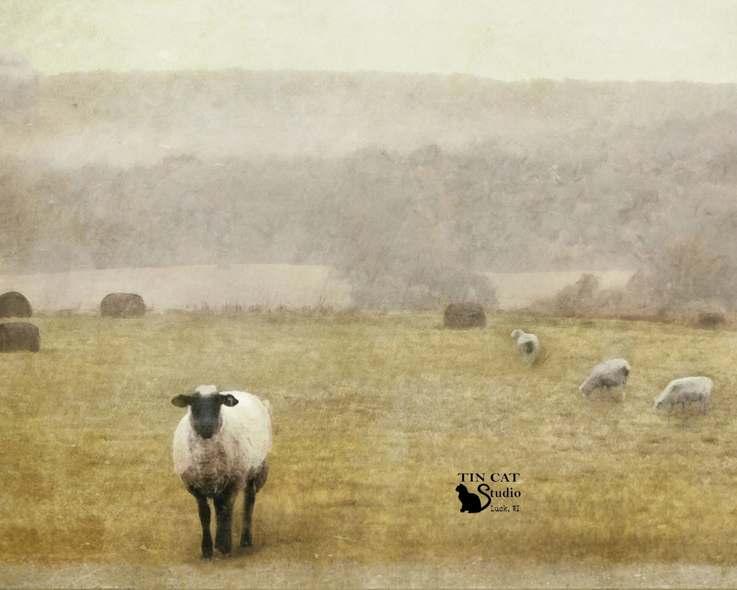 Out To Pasture Card.jpg