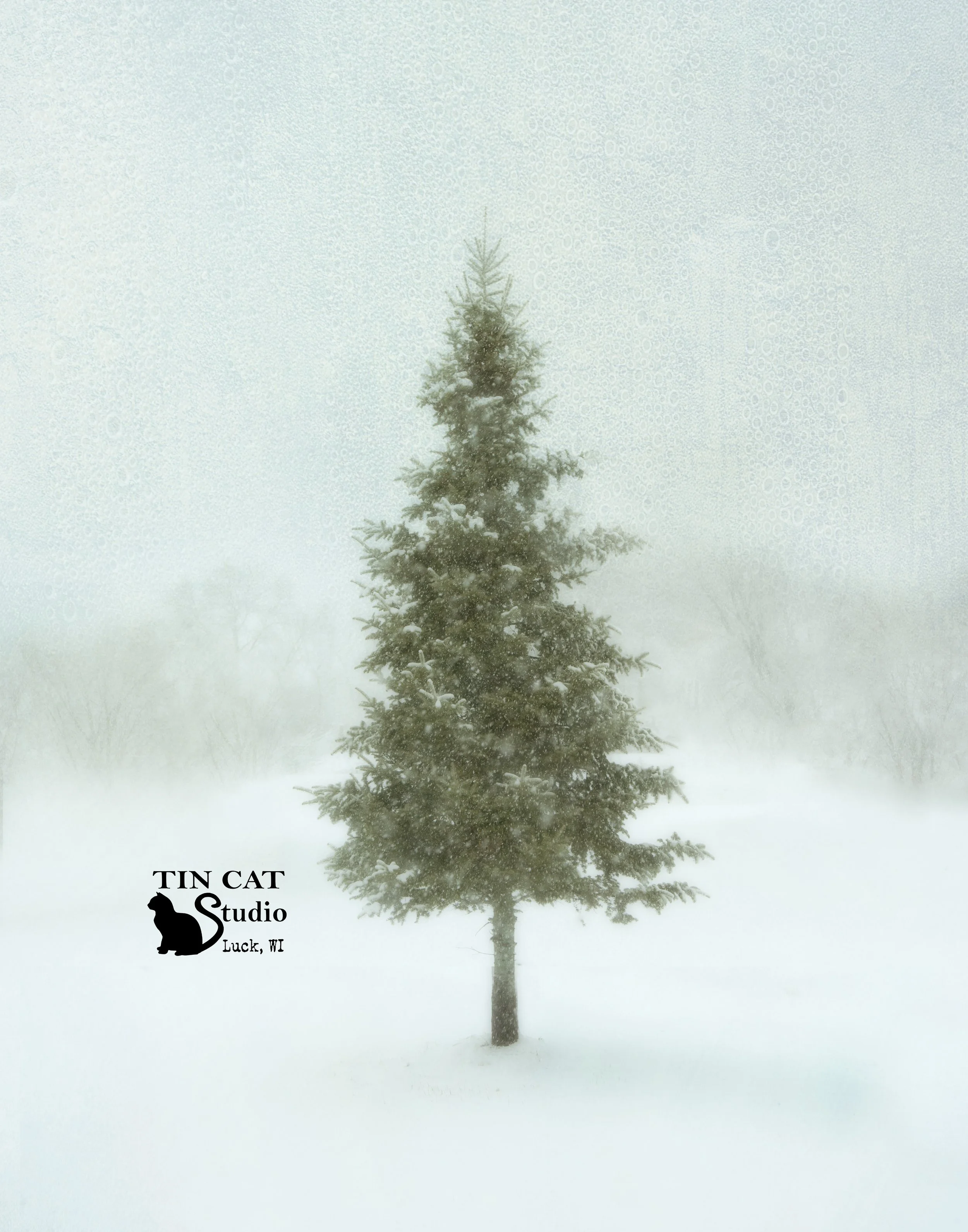 Snowy Pine card.jpg