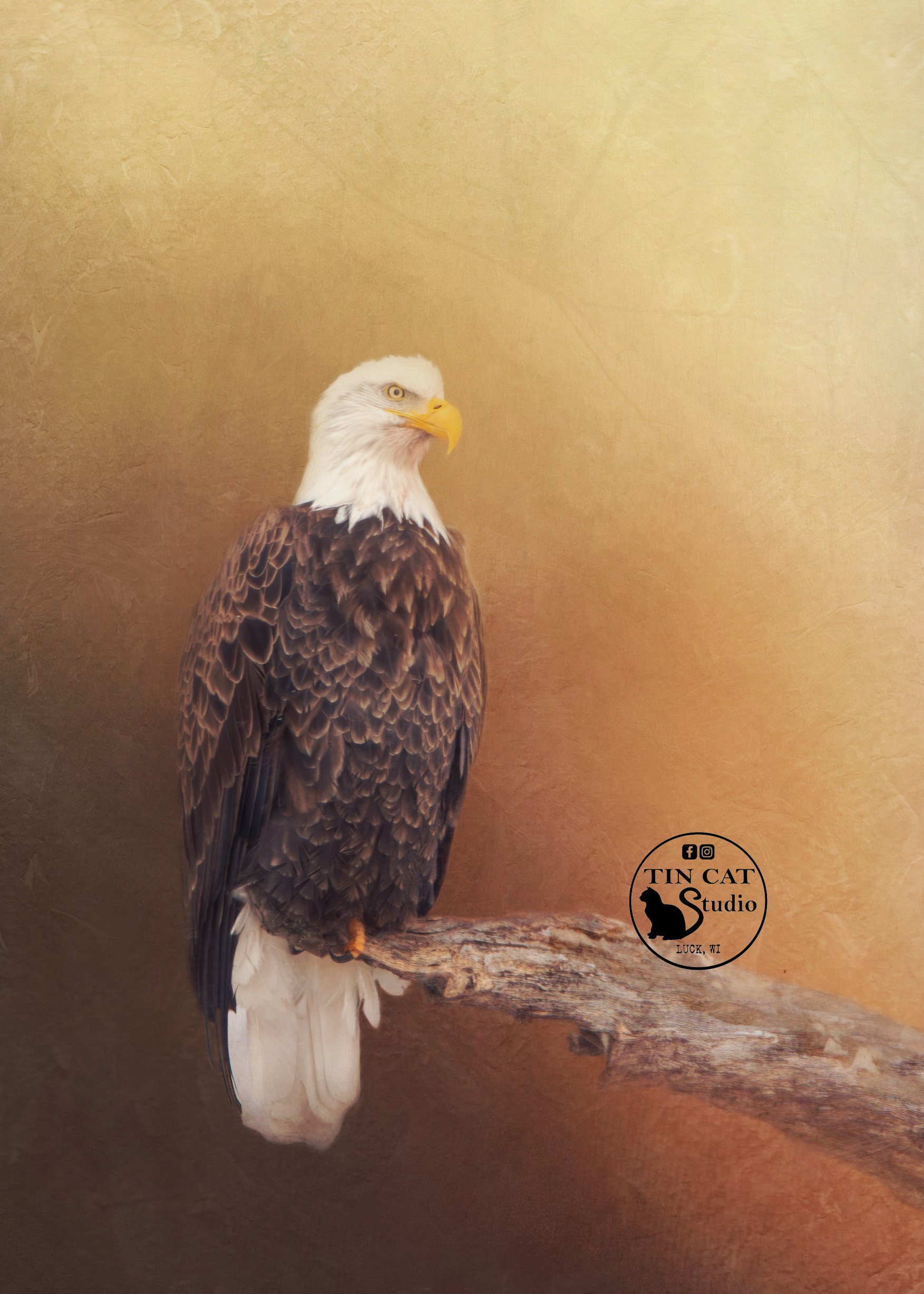 Eagle-FINAL-card-LOGO.jpg